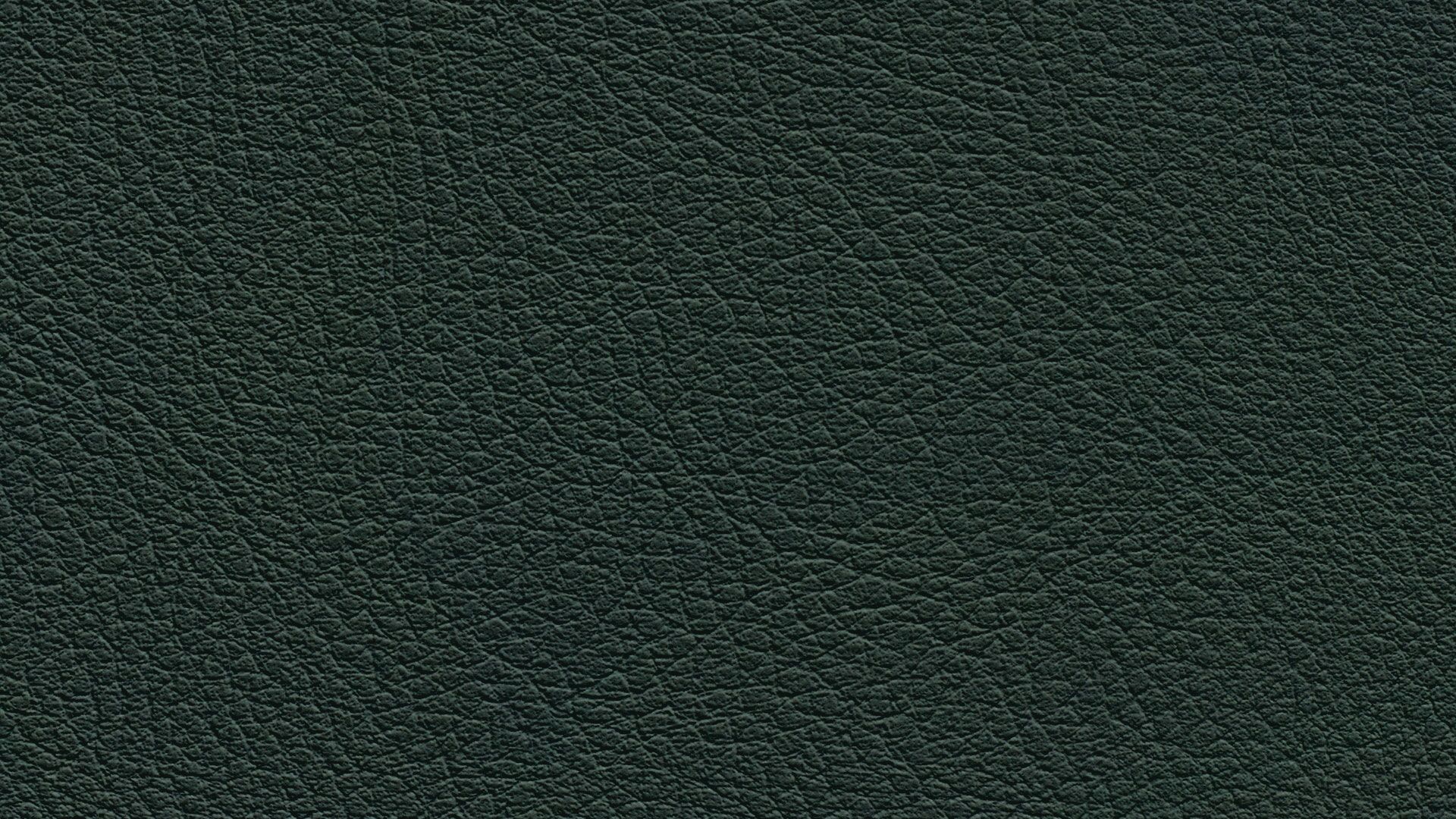 331663 Sk Chance Sonnhaus Kunstleder Meterware Gruen 331663 Sk Chance Sonnhaus Kunstleder Meterware Gruen