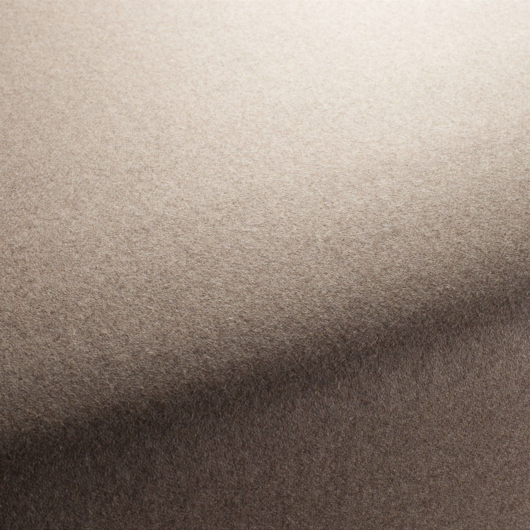 Cameron 1 1286 021 Jab Polsterstoffe Braun Wolle Cameron 1 1286 021 Jab Polsterstoffe Braun Wolle