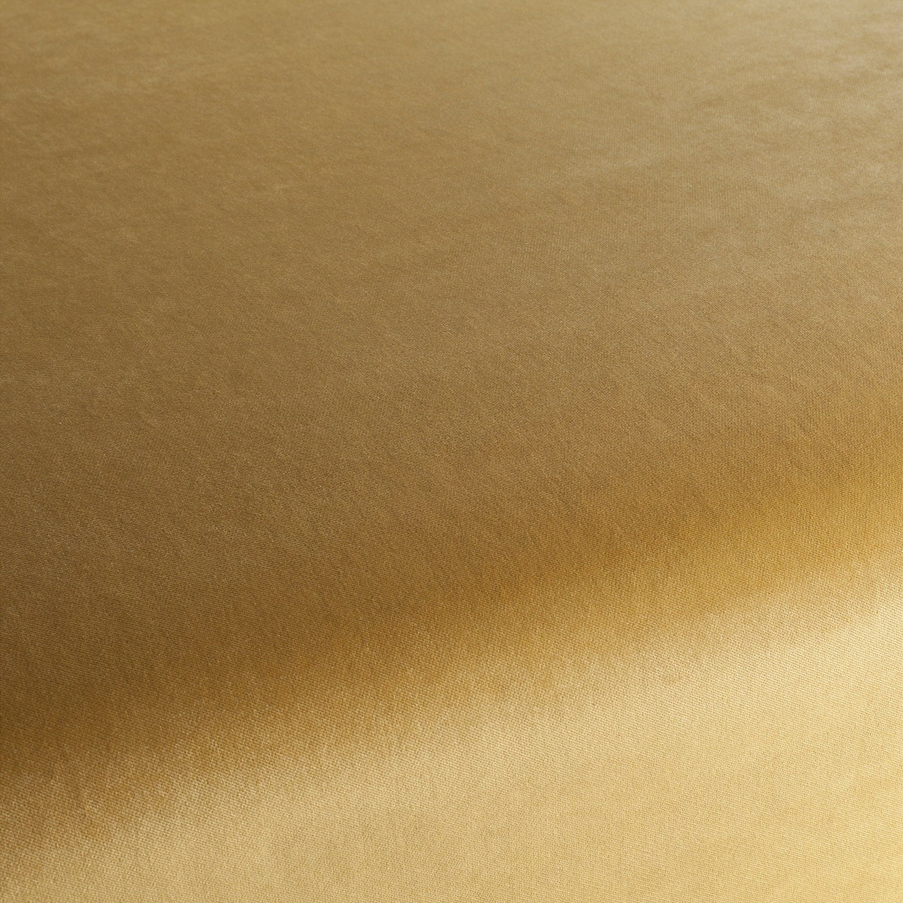 Ja3005 040 Champion Jab Samtvorhang Samt Polsterstoff Gold
