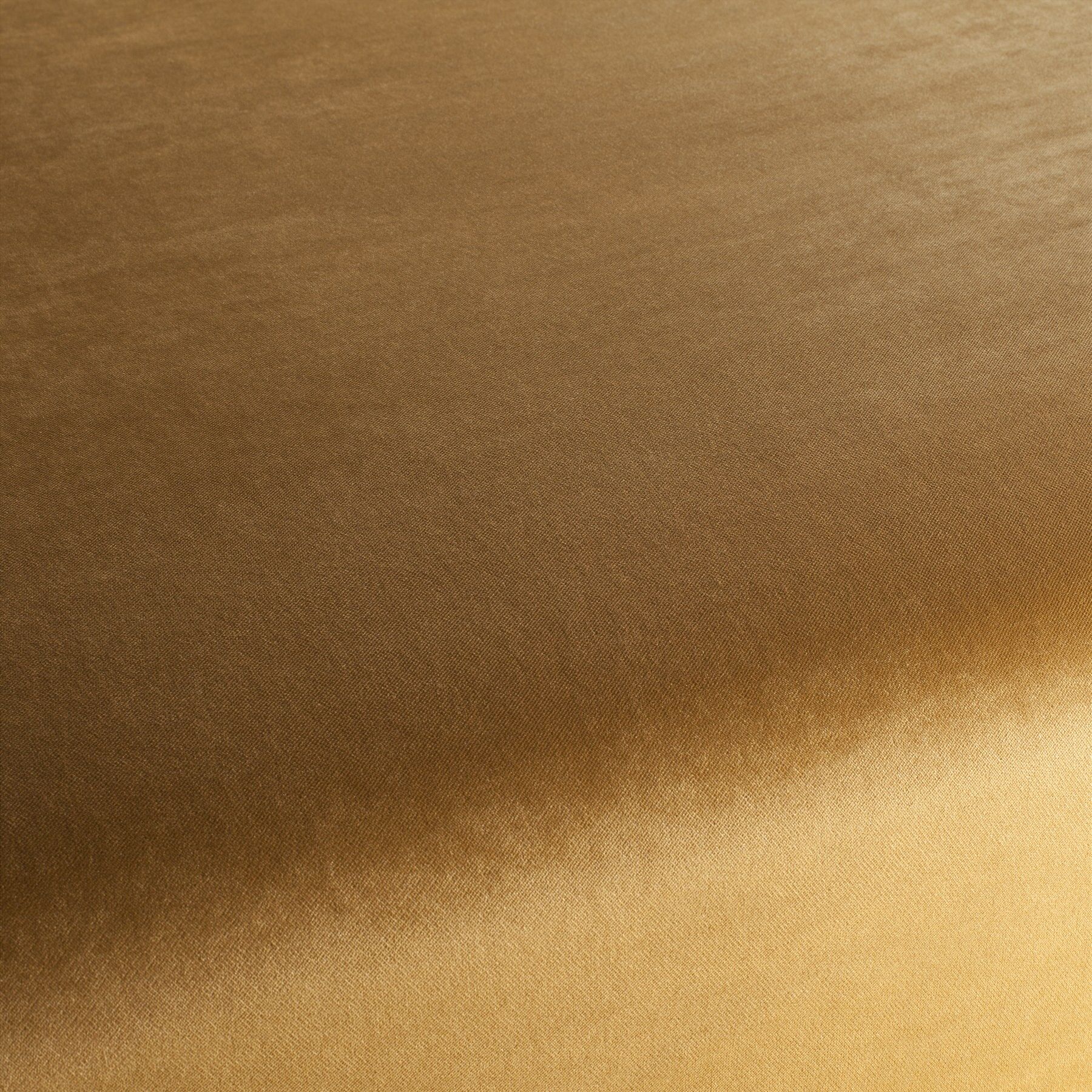 Ja3005 041 Champion Jab Samtvorhang Samt Polsterstoff Gold