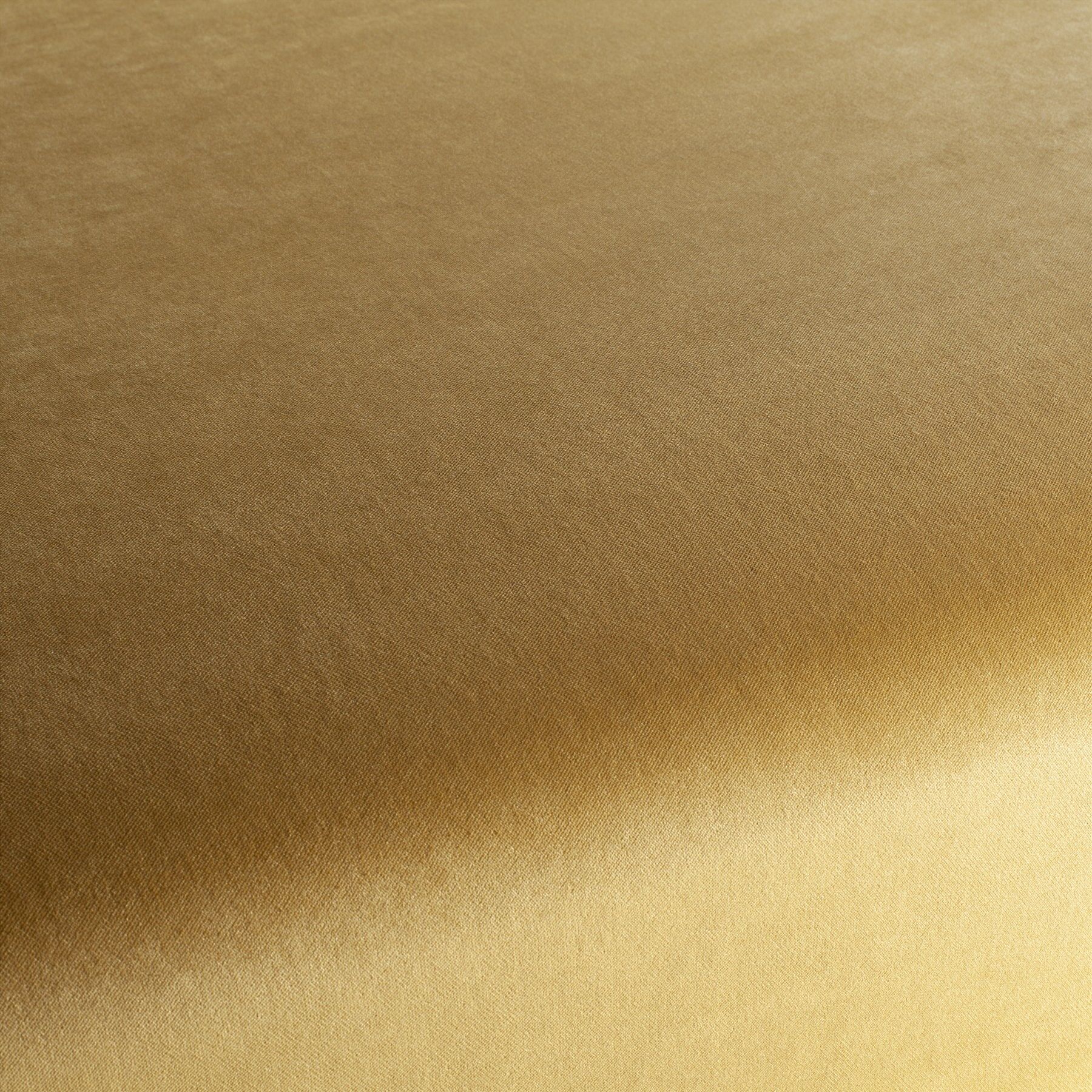 Ja3005 045 Champion Jab Samtvorhang Samt Polsterstoff Gold