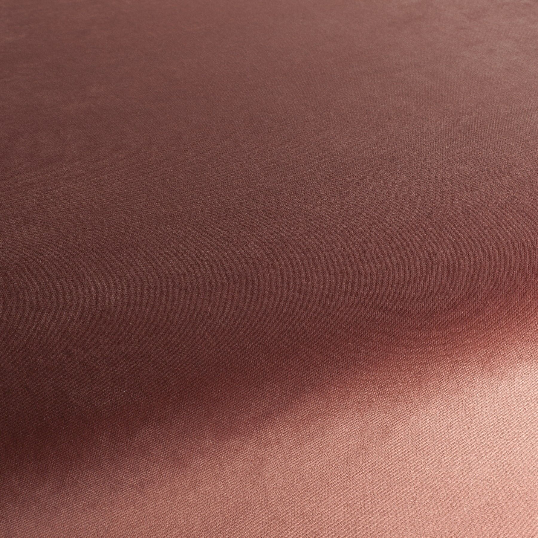 Ja3005 060 Champion Jab Samtvorhang Samt Polsterstoff Rosa Ja3005 060 Champion Jab Samtvorhang Samt Polsterstoff Rosa