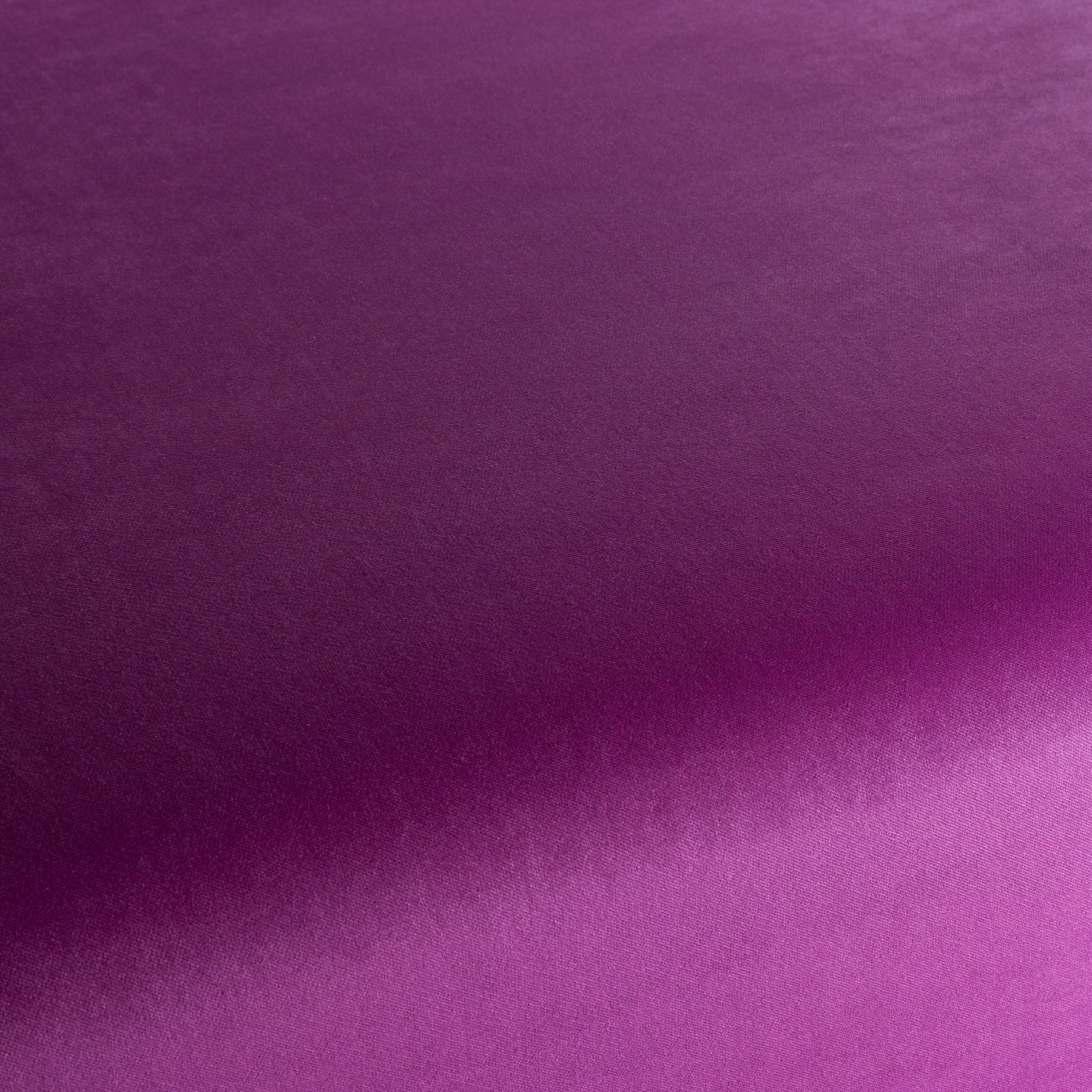 Ja3005 068 Champion Jab Samtvorhang Samt Polsterstoff Rosa