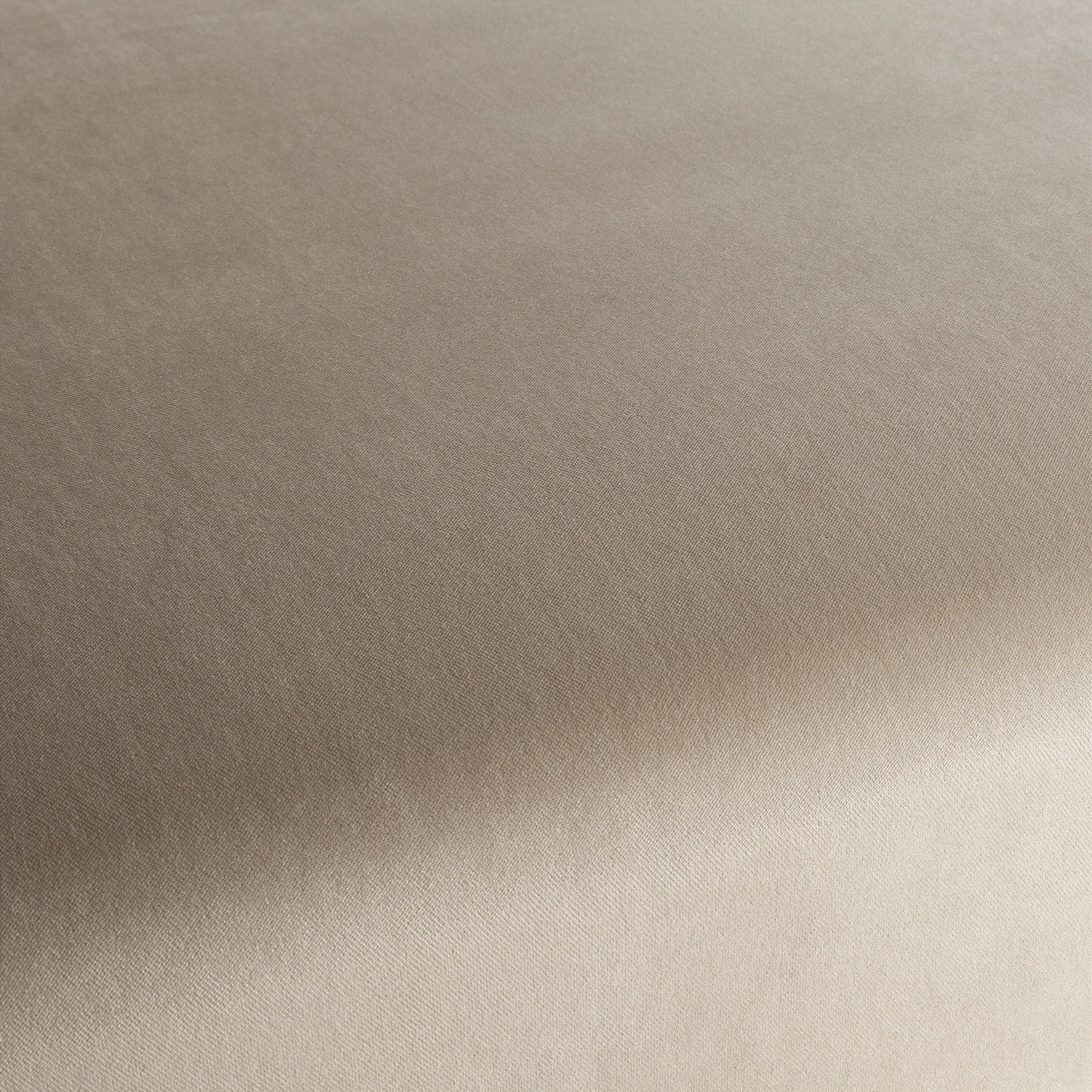 Ja3005 078 Champion Jab Samtvorhang Samt Polsterstoff Beige Ja3005 078 Champion Jab Samtvorhang Samt Polsterstoff Beige