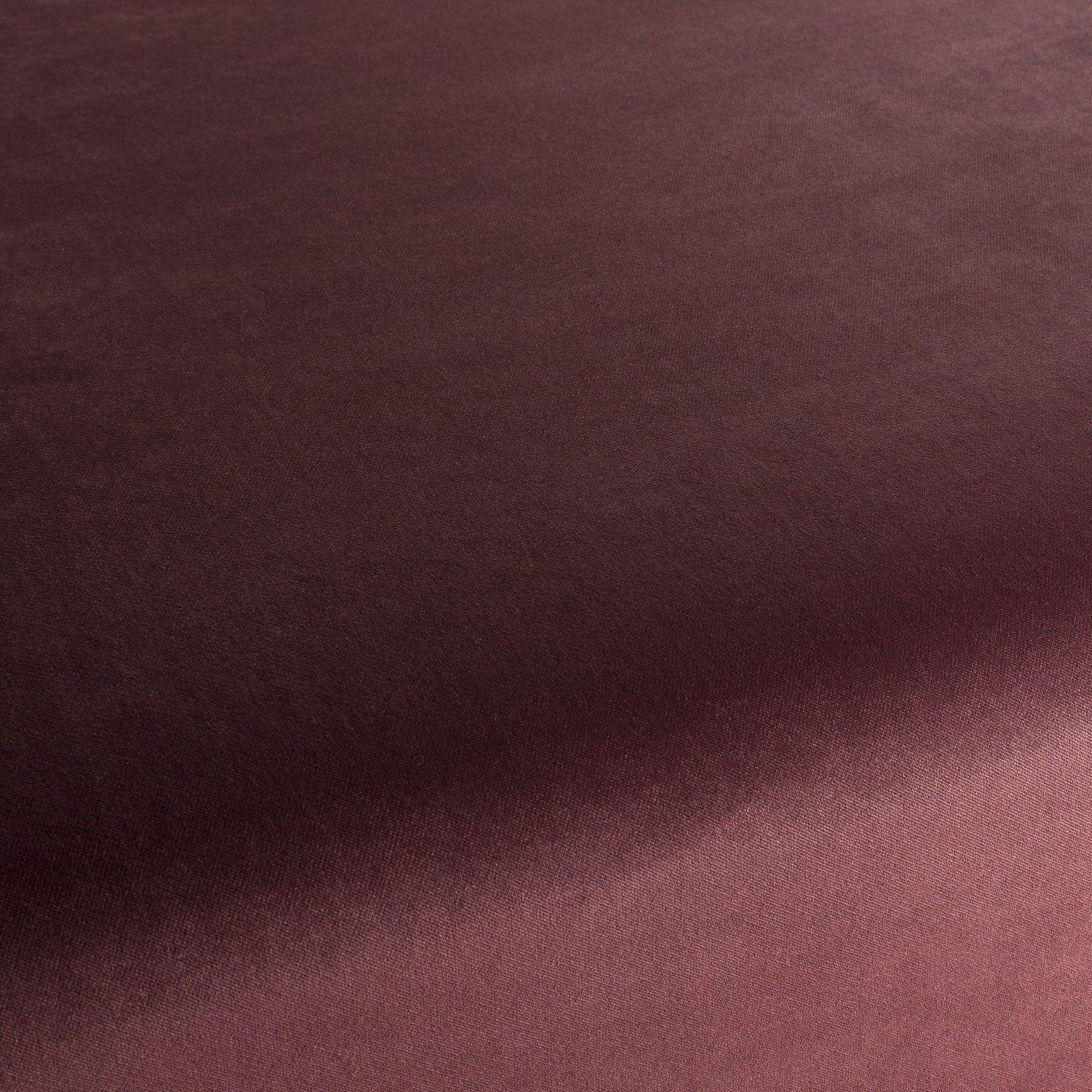 Ja3005 160 Champion Jab Samtvorhang Samt Polsterstoff Rosa Ja3005 160 Champion Jab Samtvorhang Samt Polsterstoff Rosa