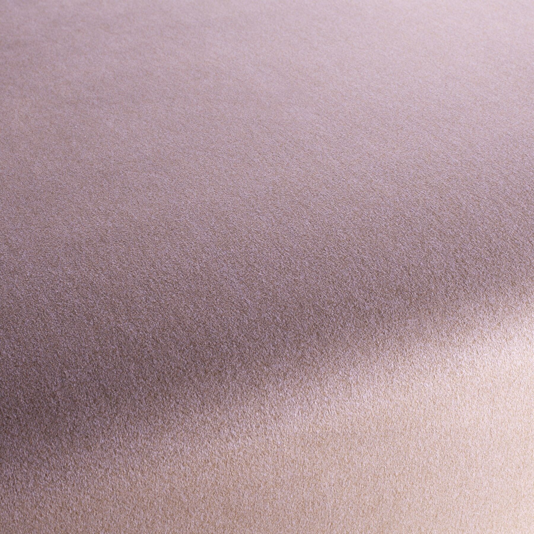 Ch3090 080 Shallow Chivasso Polsterstoff Samt Rosa Ch3090 080 Shallow Chivasso Polsterstoff Samt Rosa