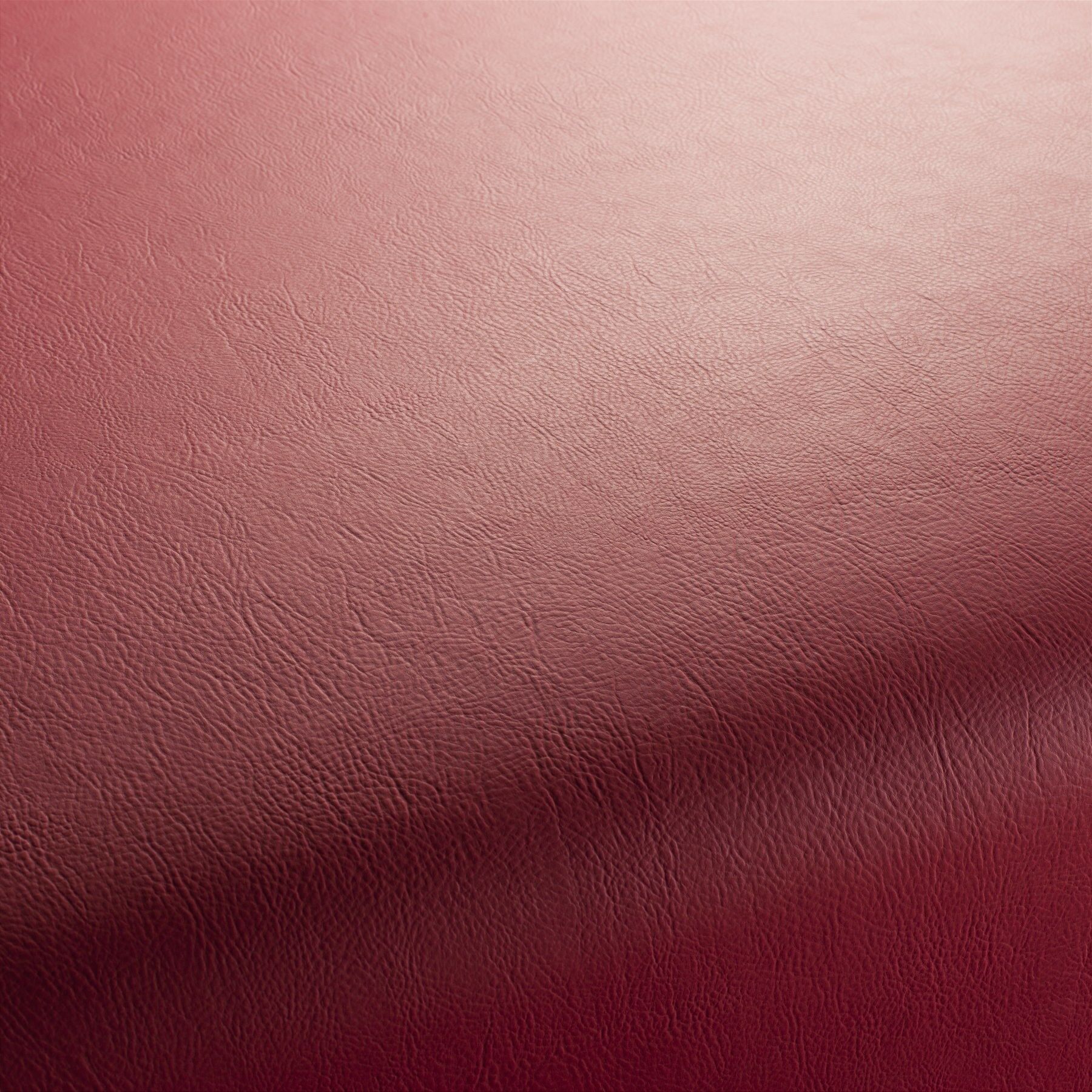 1 1311 010 Jab Anstoetz Gaucho Kunstleder Rot