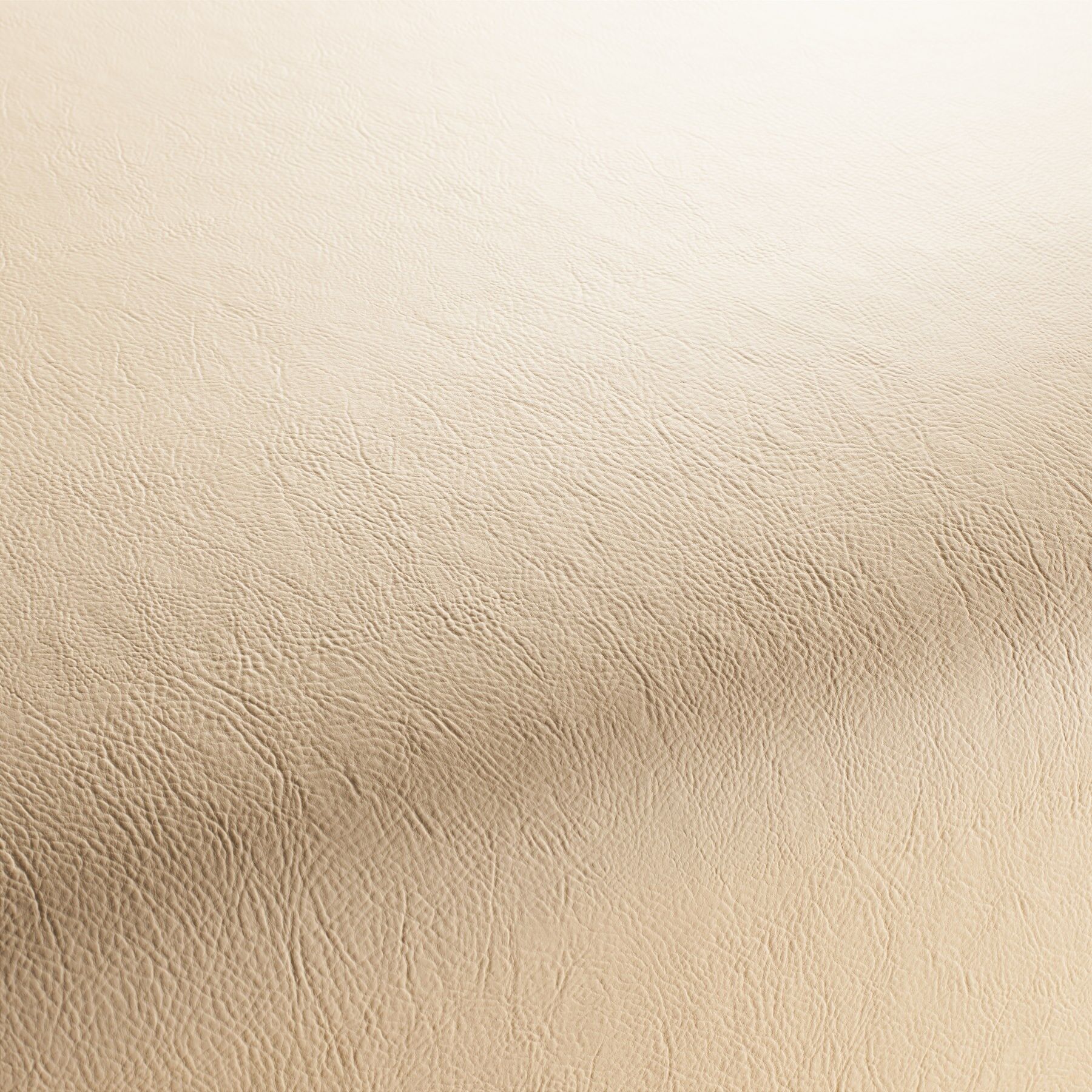 1 1311 171 Jab Anstoetz Gaucho Kunstleder Beige