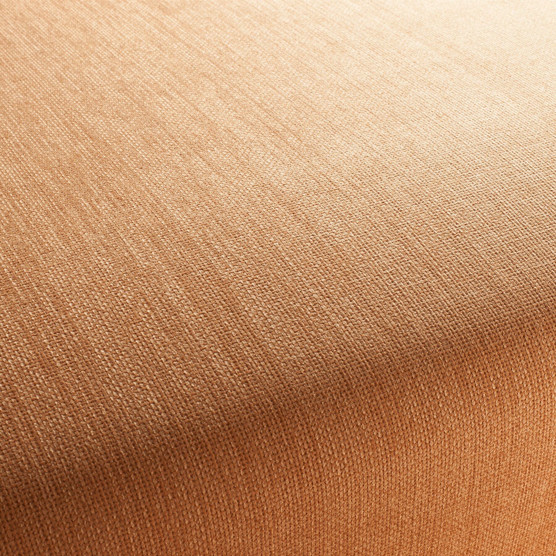 1 1243 060 Toro Jab Anstoetz Chenille Bezugsstoff Orange