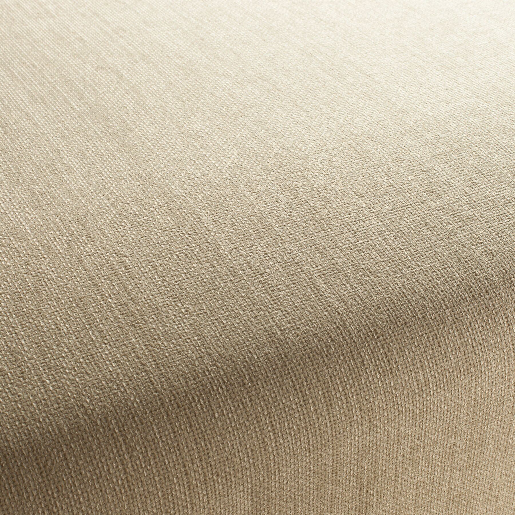 1 1243 076 Toro Jab Anstoetz Chenille Bezugsstoff Beige