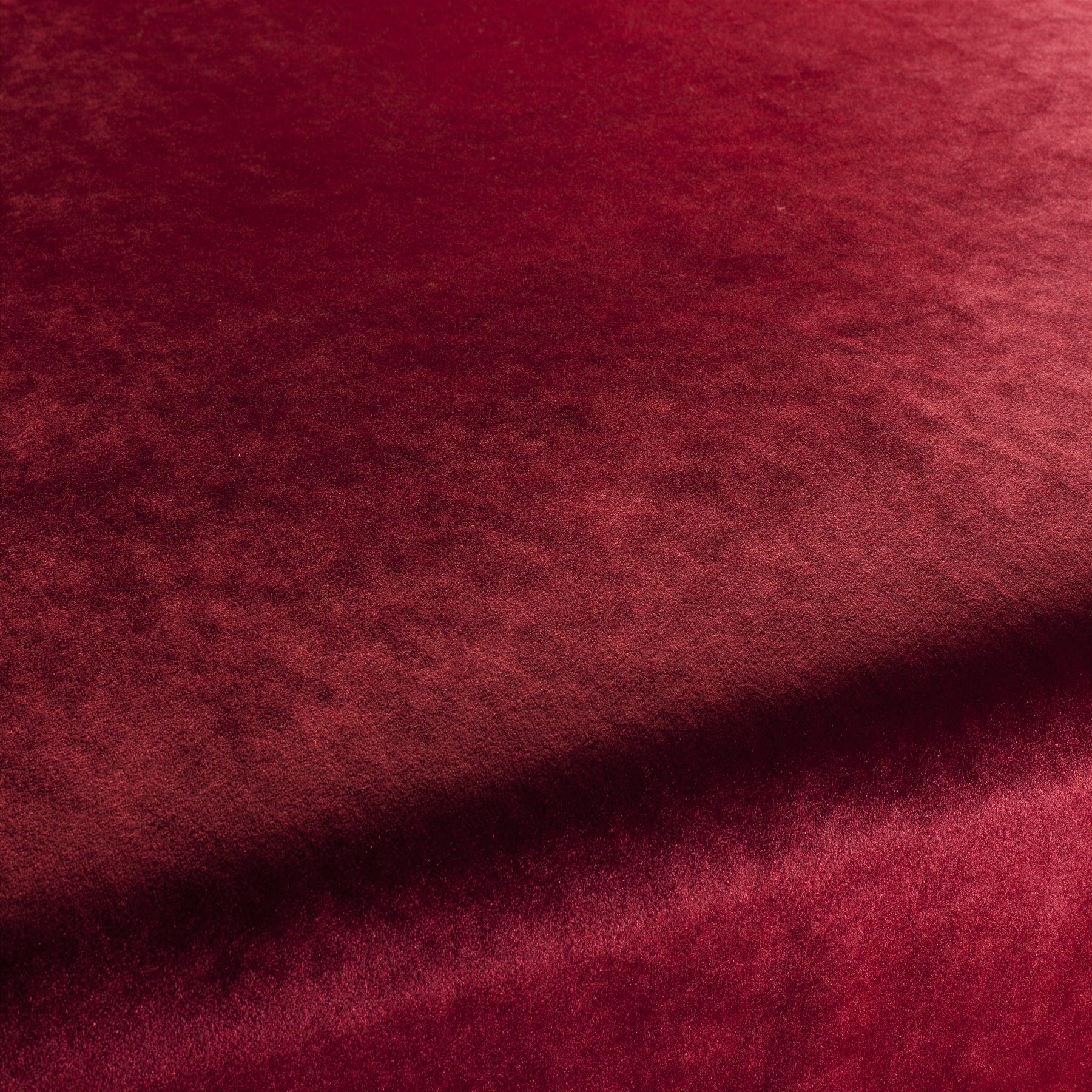 Ca1175 010 Palazzo Velvet Reloaded Exklusive Italienische Samt Moebelstoffe Von Carlucci Rot Ca1175 010 Palazzo Velvet Reloaded Exklusive Italienische Samt Moebelstoffe Von Carlucci Rot