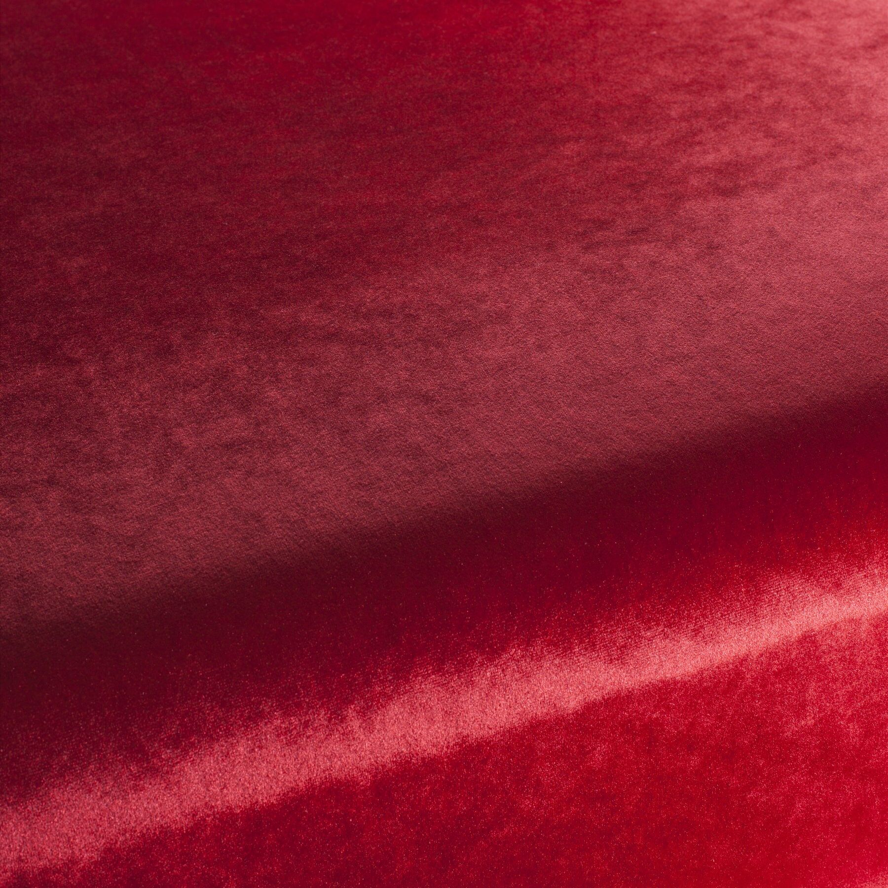 Ca1175 012 Palazzo Velvet Reloaded Exklusive Italienische Samt Moebelstoffe Von Carlucci Rot Ca1175 012 Palazzo Velvet Reloaded Exklusive Italienische Samt Moebelstoffe Von Carlucci Rot