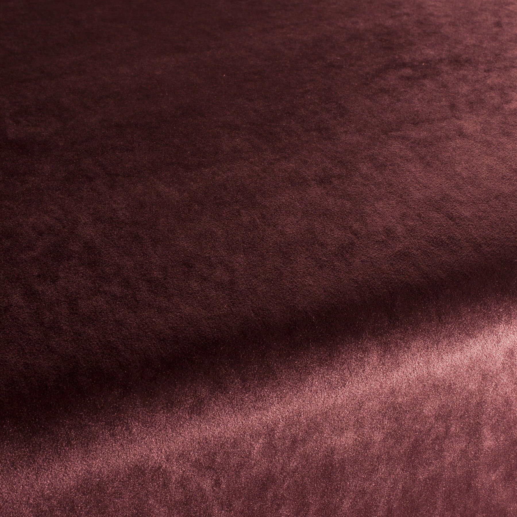 Ca1175 013 Palazzo Velvet Reloaded Exklusive Italienische Samt Moebelstoffe Von Carlucci Rot Ca1175 013 Palazzo Velvet Reloaded Exklusive Italienische Samt Moebelstoffe Von Carlucci Rot