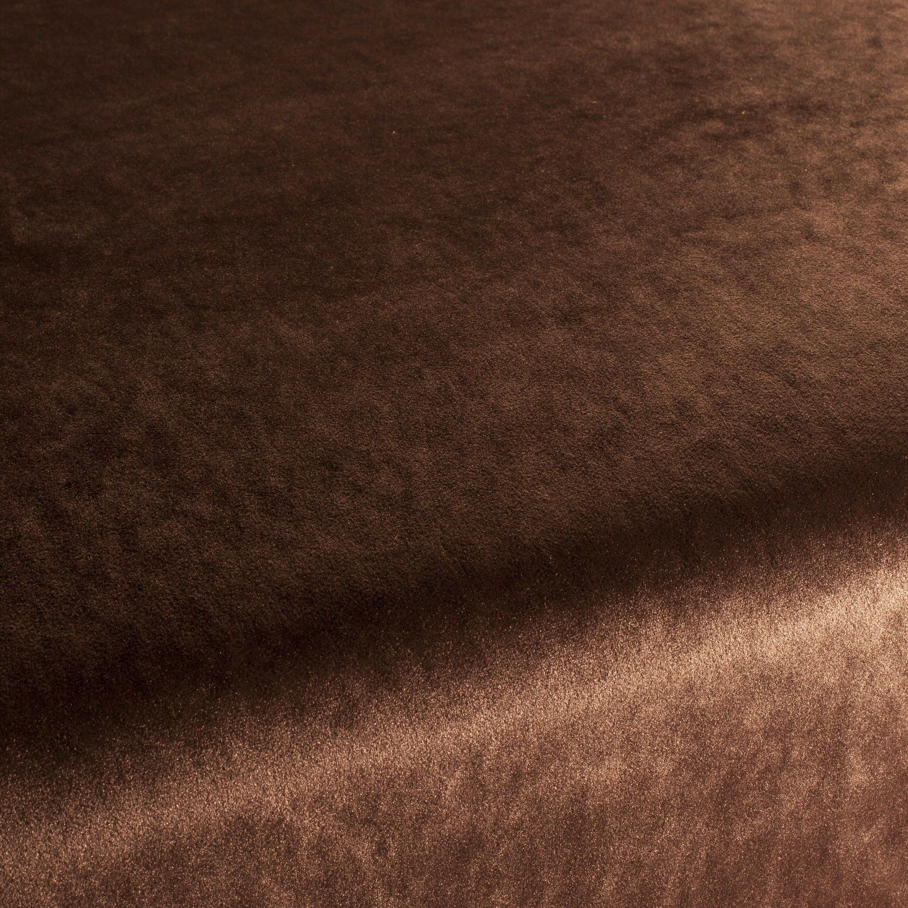 Ca1175 027 Palazzo Velvet Reloaded Exklusive Italienische Samt Moebelstoffe Von Carlucci Braun Ca1175 027 Palazzo Velvet Reloaded Exklusive Italienische Samt Moebelstoffe Von Carlucci Braun