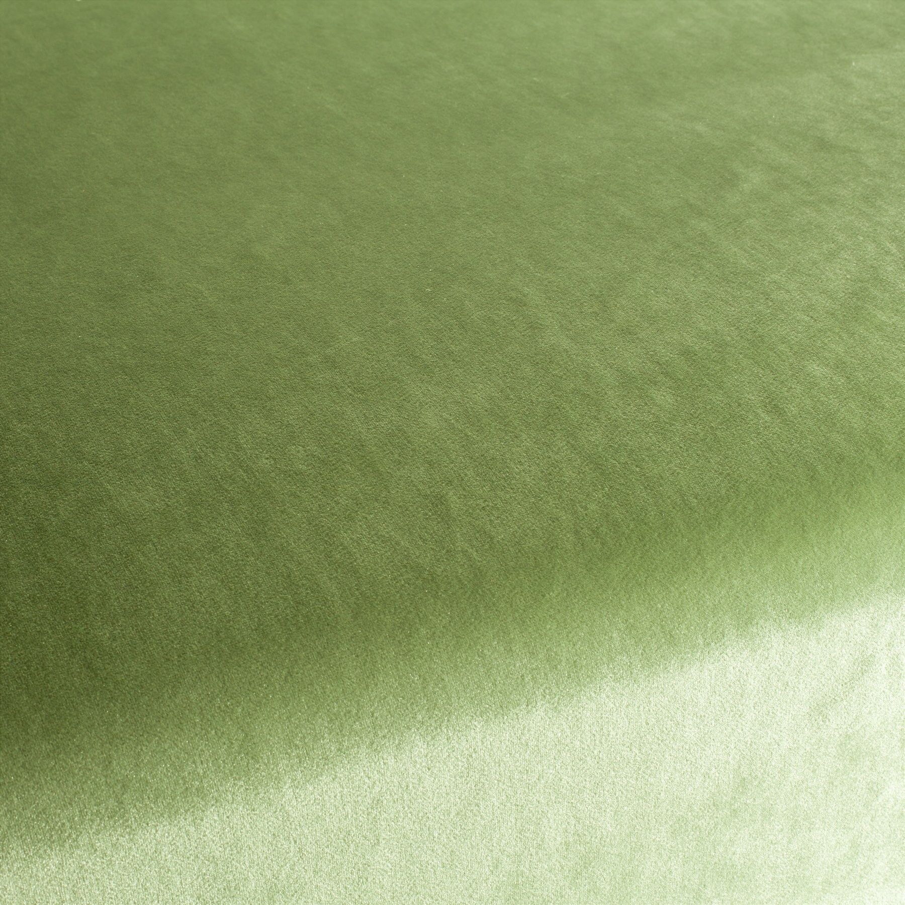 Ca1175 032 Palazzo Velvet Reloaded Exklusive Italienische Samt Moebelstoffe Von Carlucci Gruen Ca1175 032 Palazzo Velvet Reloaded Exklusive Italienische Samt Moebelstoffe Von Carlucci Gruen