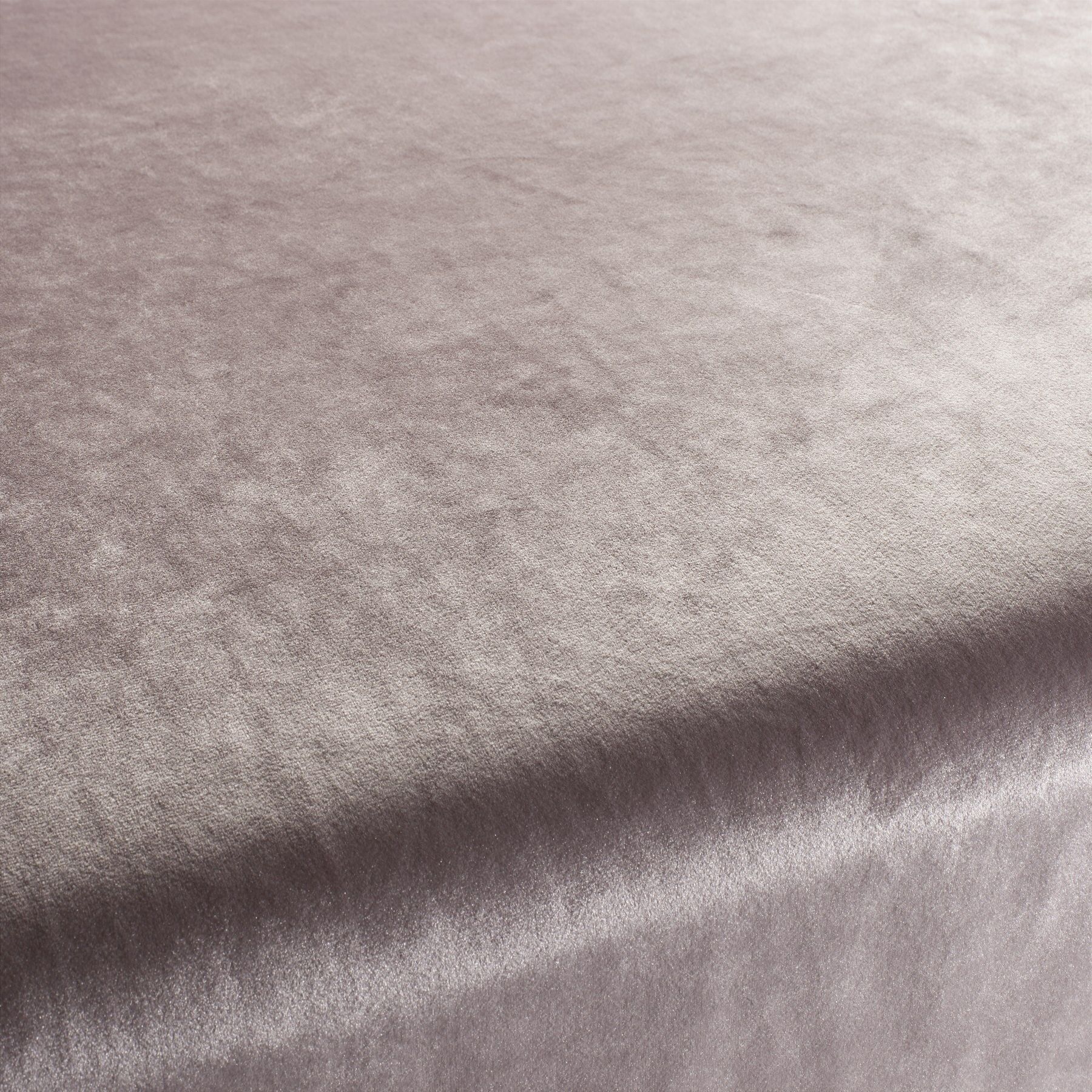 Ca1175 060 Palazzo Velvet Reloaded Exklusive Italienische Samt Moebelstoffe Von Carlucci Rosa