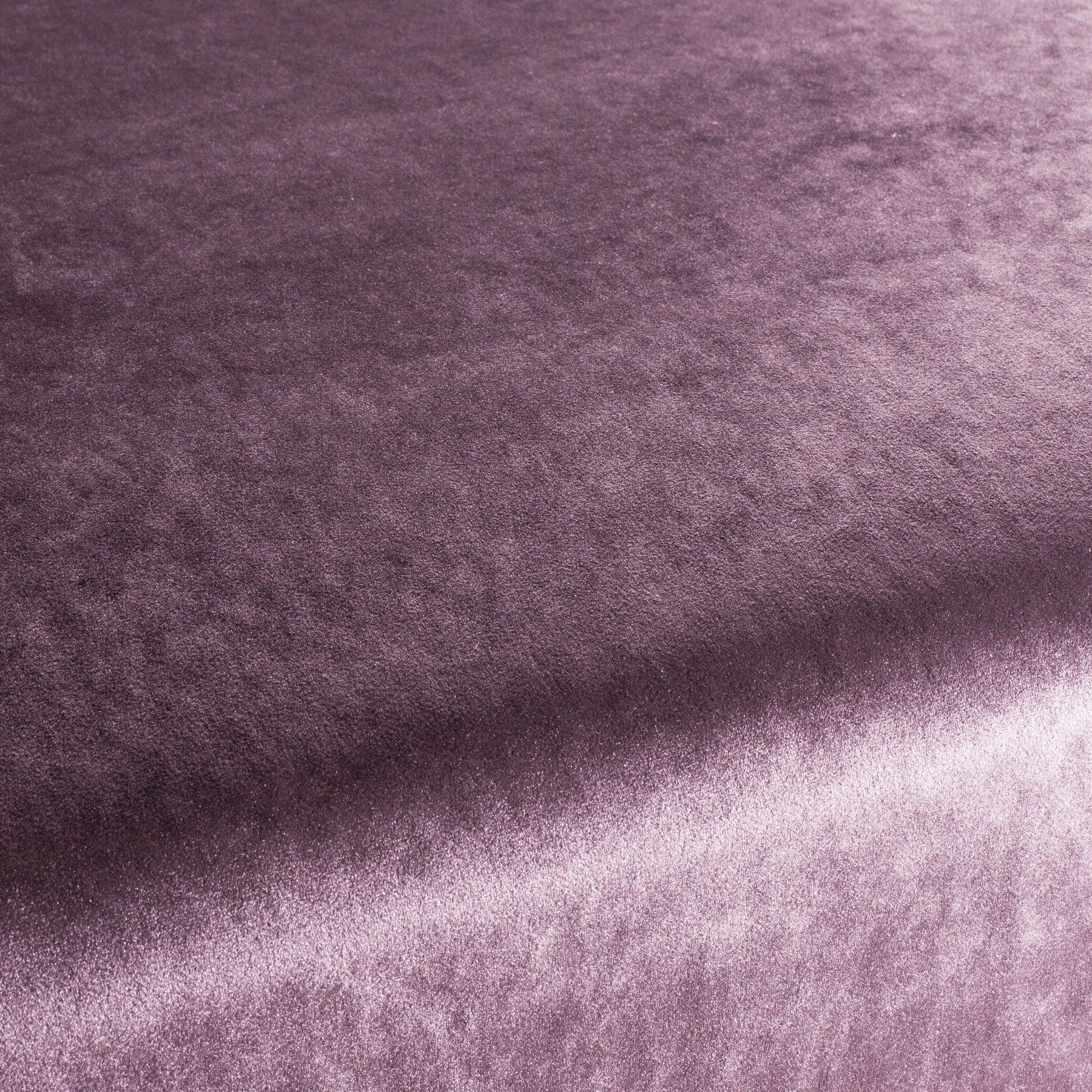 Ca1175 069 Palazzo Velvet Reloaded Exklusive Italienische Samt Moebelstoffe Von Carlucci Rosa Ca1175 069 Palazzo Velvet Reloaded Exklusive Italienische Samt Moebelstoffe Von Carlucci Rosa