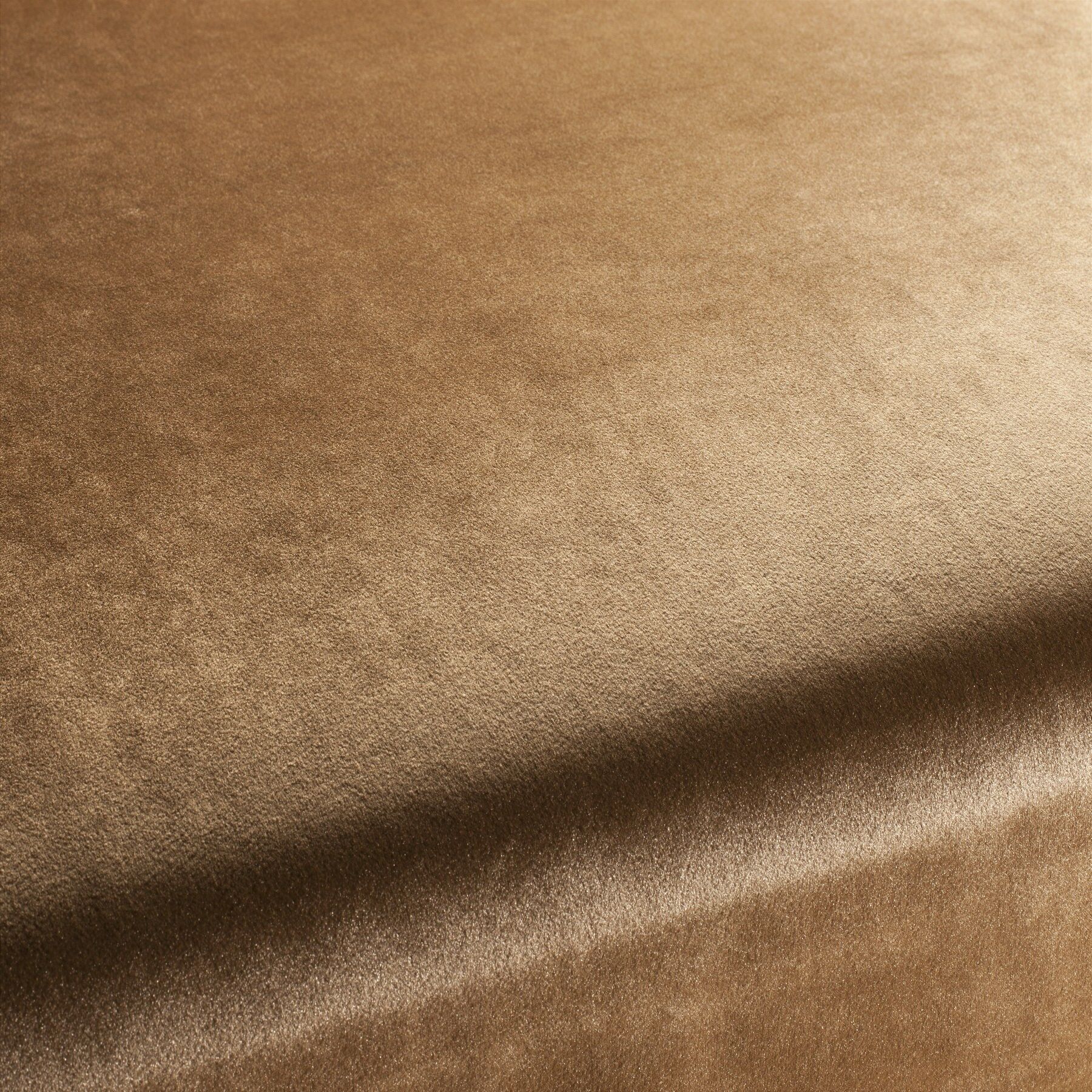 Ca1175 074 Palazzo Velvet Reloaded Exklusive Italienische Samt Moebelstoffe Von Carlucci Braun Ca1175 074 Palazzo Velvet Reloaded Exklusive Italienische Samt Moebelstoffe Von Carlucci Braun