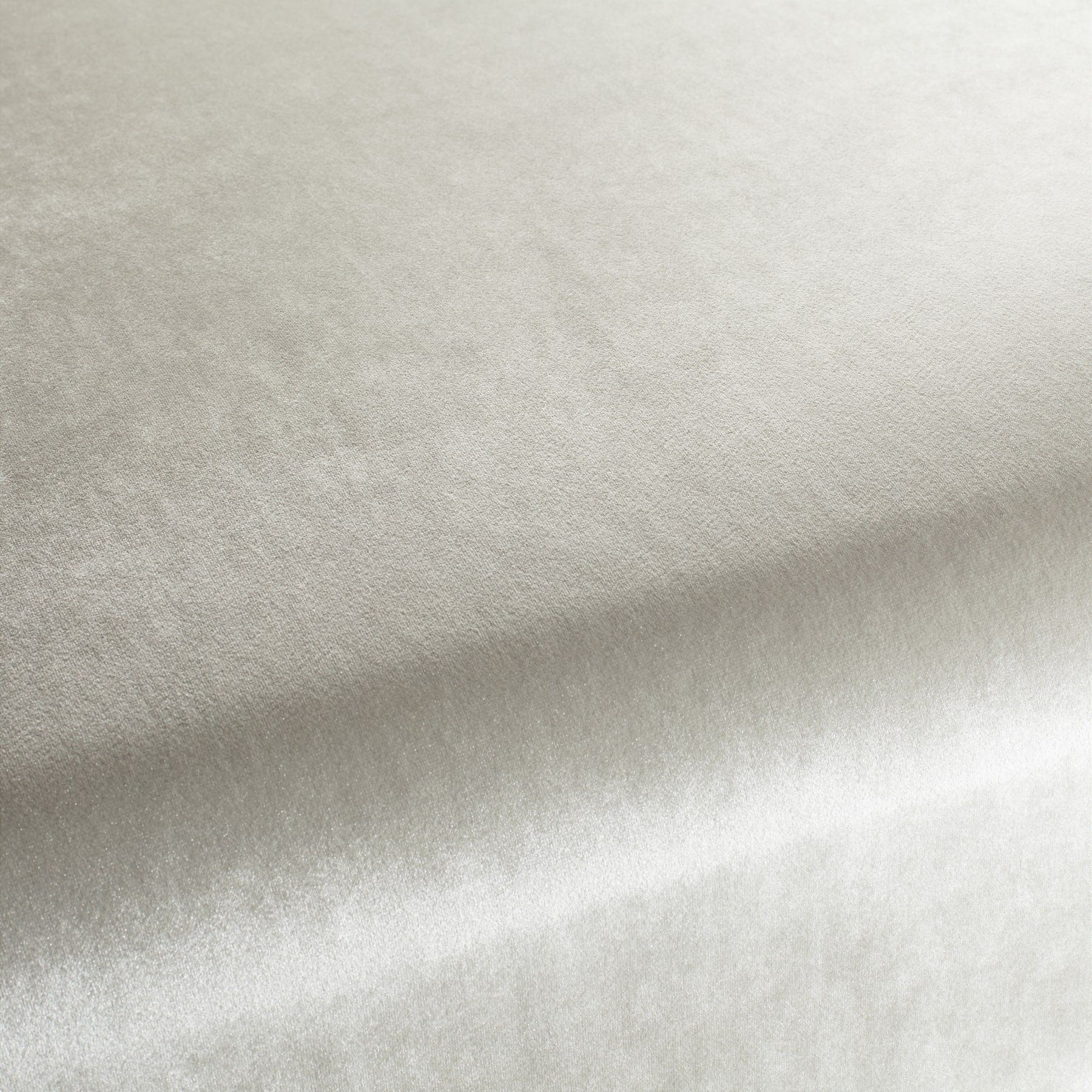 Ca1175 076 Palazzo Velvet Reloaded Exklusive Italienische Samt Moebelstoffe Von Carlucci Beige Ca1175 076 Palazzo Velvet Reloaded Exklusive Italienische Samt Moebelstoffe Von Carlucci Beige