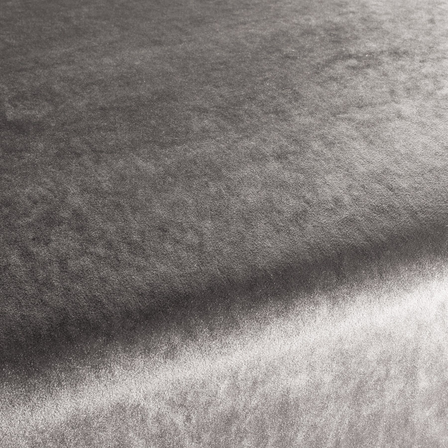 Ca1175 077 Palazzo Velvet Reloaded Exklusive Italienische Samt Moebelstoffe Von Carlucci Beige Ca1175 077 Palazzo Velvet Reloaded Exklusive Italienische Samt Moebelstoffe Von Carlucci Beige