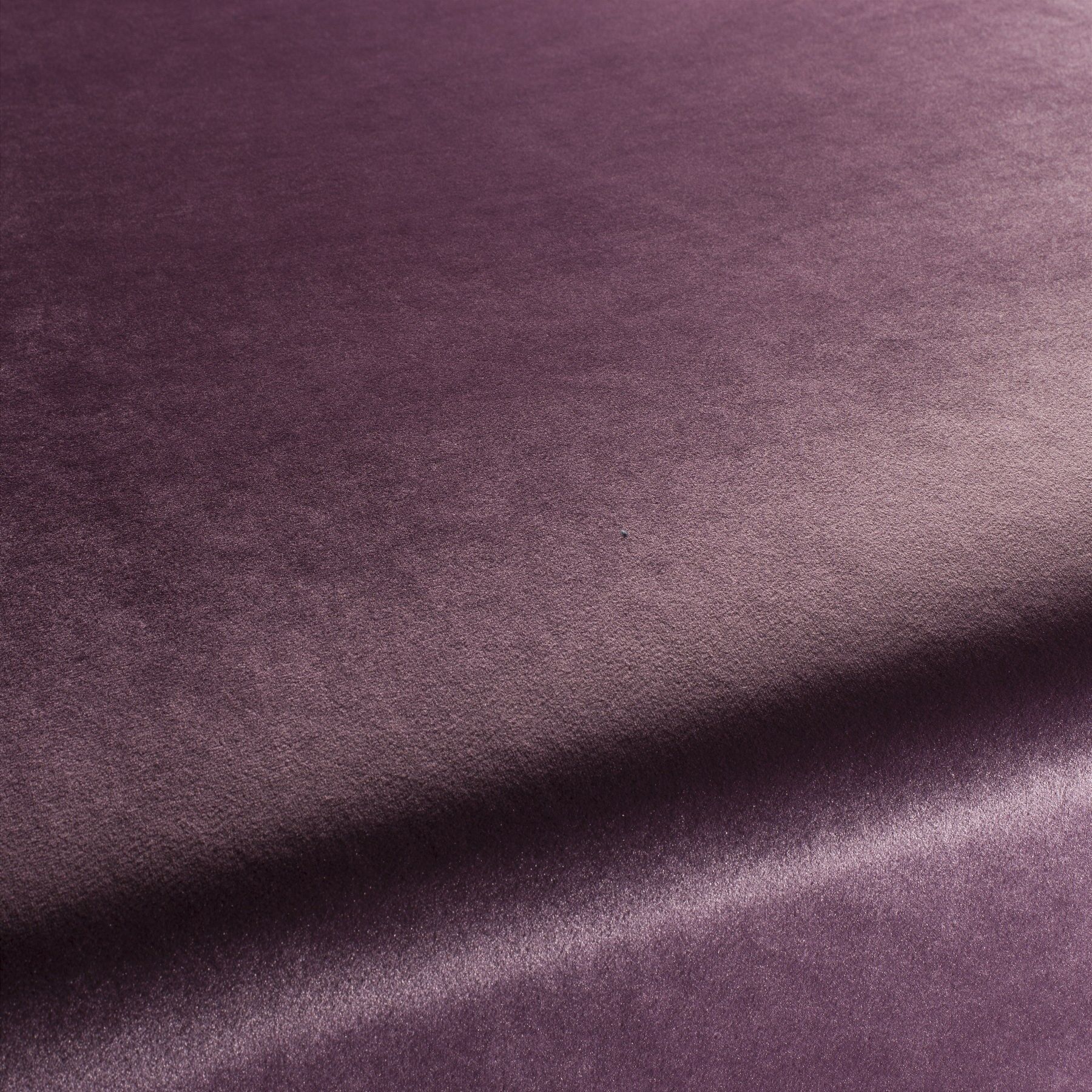 Ca1175 085 Palazzo Velvet Reloaded Exklusive Italienische Samt Moebelstoffe Von Carlucci Lila Ca1175 085 Palazzo Velvet Reloaded Exklusive Italienische Samt Moebelstoffe Von Carlucci Lila