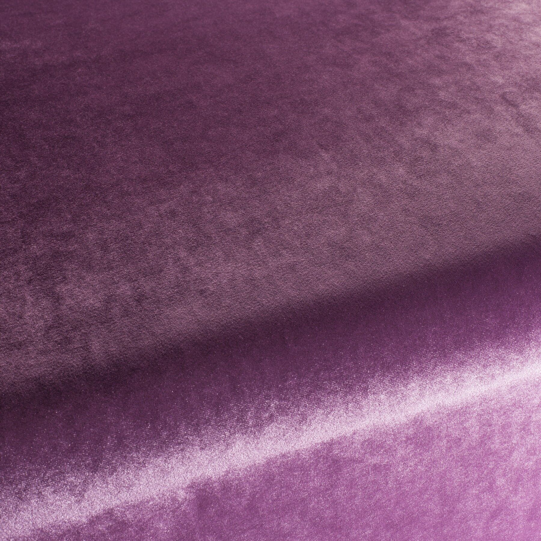 Ca1175 086 Palazzo Velvet Reloaded Exklusive Italienische Samt Moebelstoffe Von Carlucci Rosa Ca1175 086 Palazzo Velvet Reloaded Exklusive Italienische Samt Moebelstoffe Von Carlucci Rosa