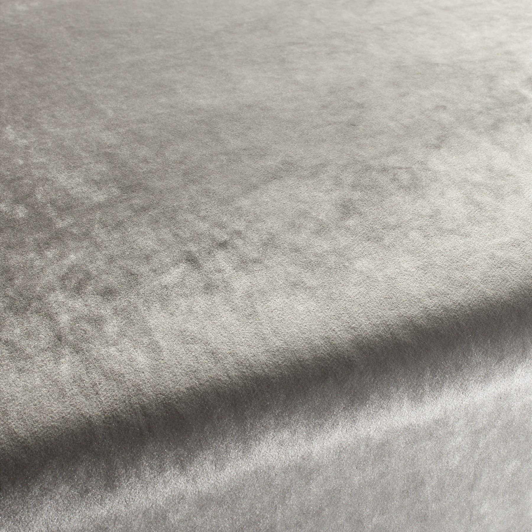 Ca1175 091 Palazzo Velvet Reloaded Exklusive Italienische Samt Moebelstoffe Von Carlucci Grau Ca1175 091 Palazzo Velvet Reloaded Exklusive Italienische Samt Moebelstoffe Von Carlucci Grau