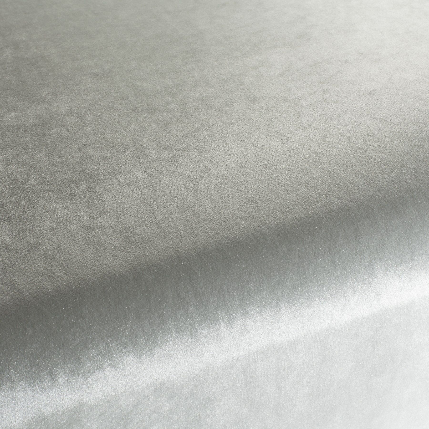 Ca1175 093 Palazzo Velvet Reloaded Exklusive Italienische Samt Moebelstoffe Von Carlucci Grau Ca1175 093 Palazzo Velvet Reloaded Exklusive Italienische Samt Moebelstoffe Von Carlucci Grau