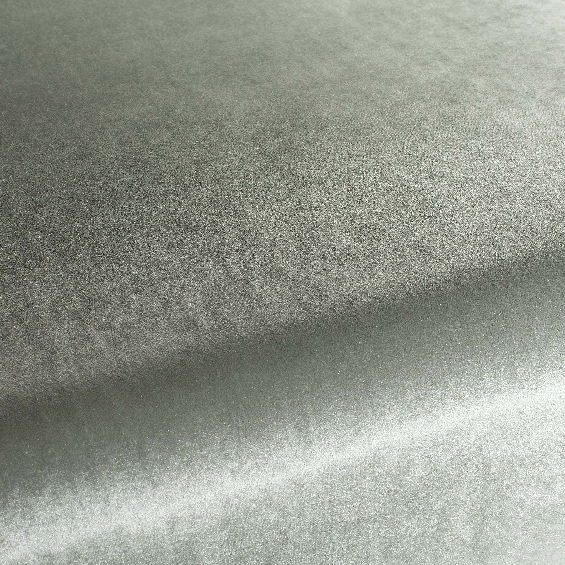 Ca1175 094 Palazzo Velvet Reloaded Exklusive Italienische Samt Moebelstoffe Von Carlucci Gruen