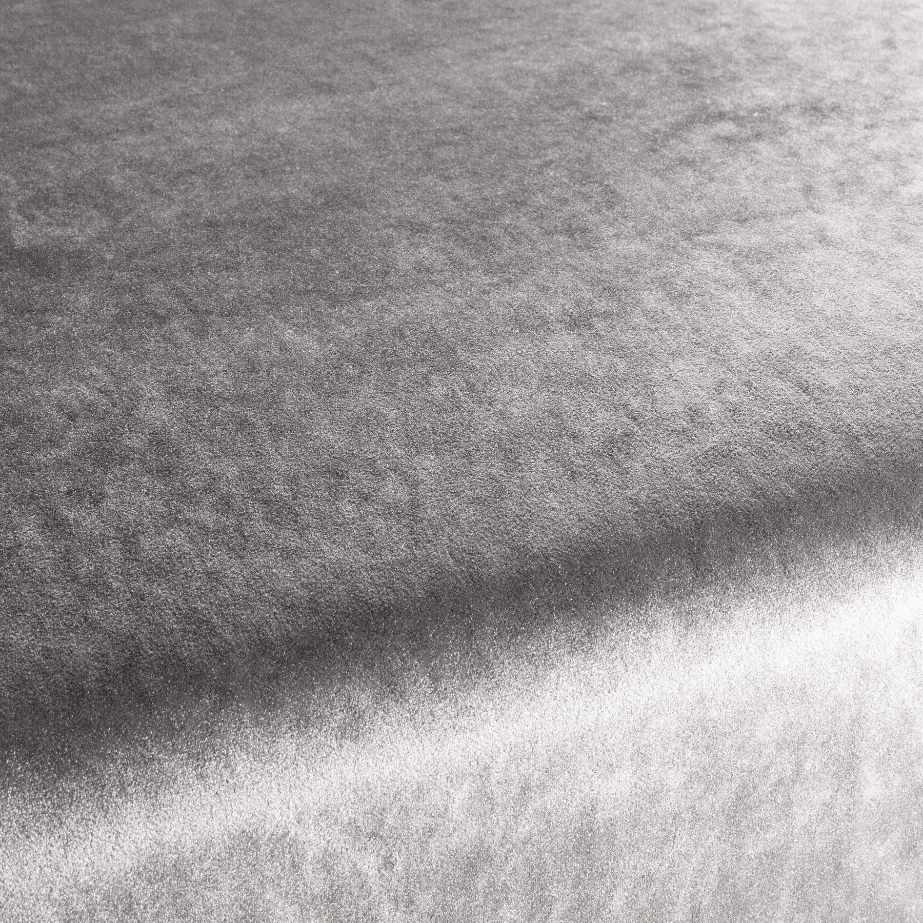 Ca1175 095 Palazzo Velvet Reloaded Exklusive Italienische Samt Moebelstoffe Von Carlucci Grau Ca1175 095 Palazzo Velvet Reloaded Exklusive Italienische Samt Moebelstoffe Von Carlucci Grau