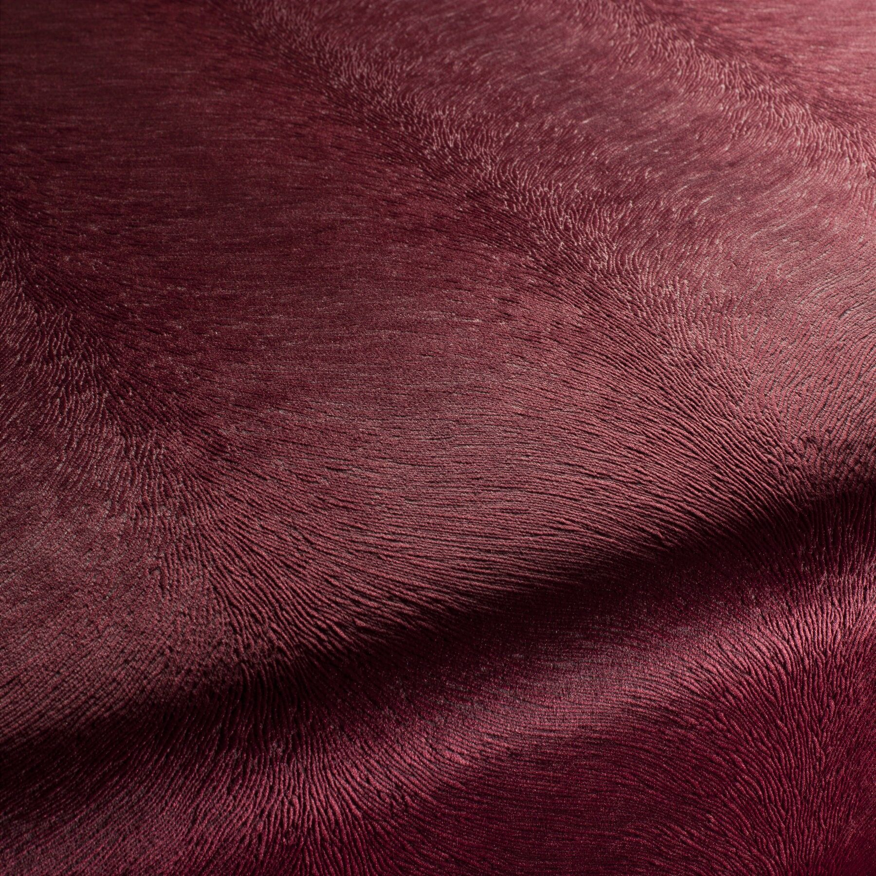 Ca1292 011 Pistoia Velvet Exklusive Italienische Samt Moebelstoffe Stoffe Rot Ca1292 011 Pistoia Velvet Exklusive Italienische Samt Moebelstoffe Stoffe Rot