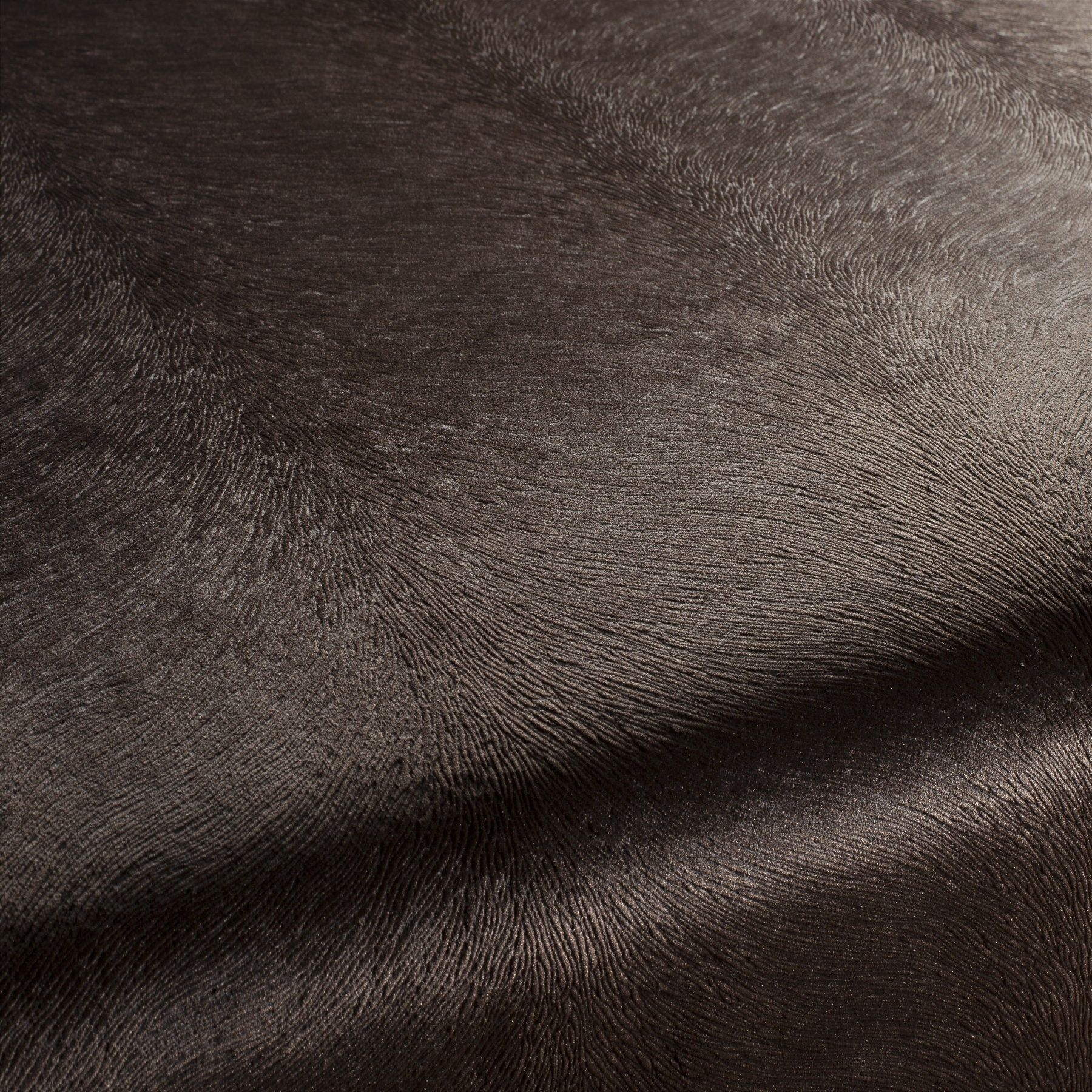 Ca1292 021 Pistoia Velvet Exklusive Italienische Samt Moebelstoffe Stoffe Braun