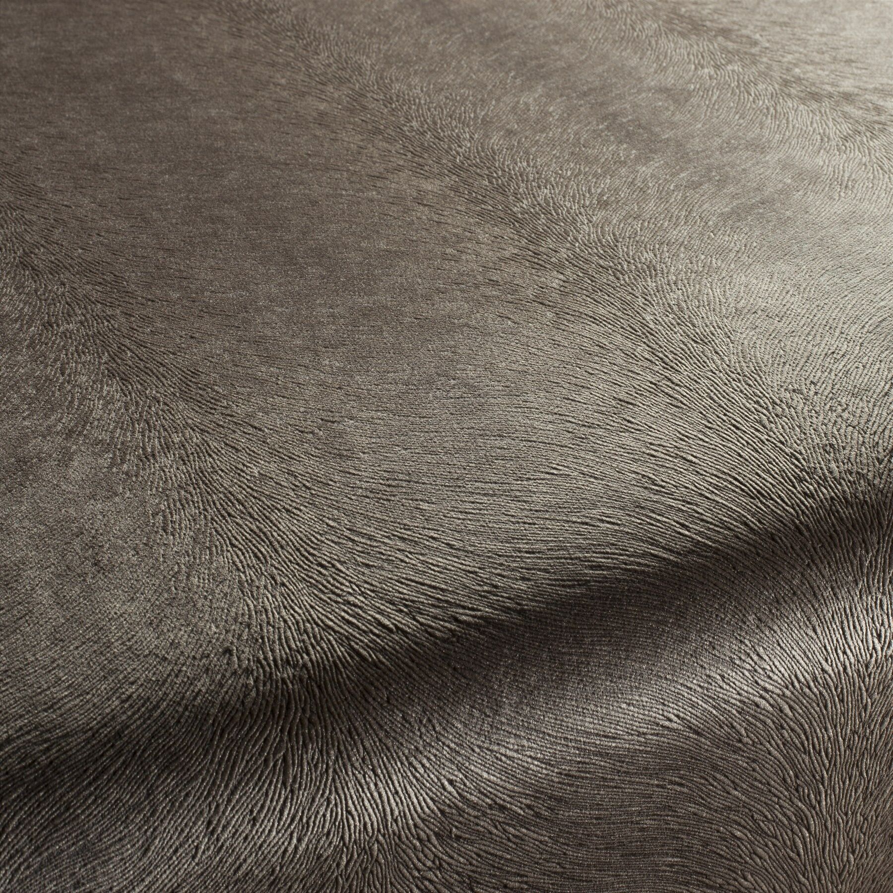 Ca1292 022 Pistoia Velvet Exklusive Italienische Samt Moebelstoffe Stoffe Braun Ca1292 022 Pistoia Velvet Exklusive Italienische Samt Moebelstoffe Stoffe Braun