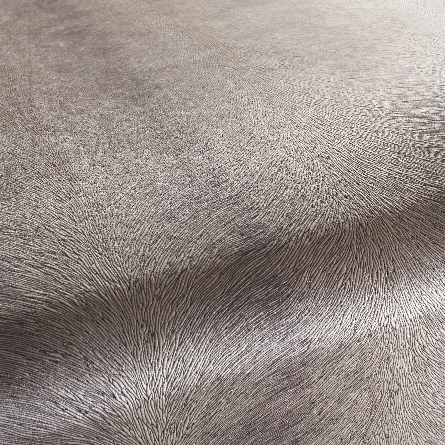 Ca1292 024 Pistoia Velvet Exklusive Italienische Samt Moebelstoffe Stoffe Braun