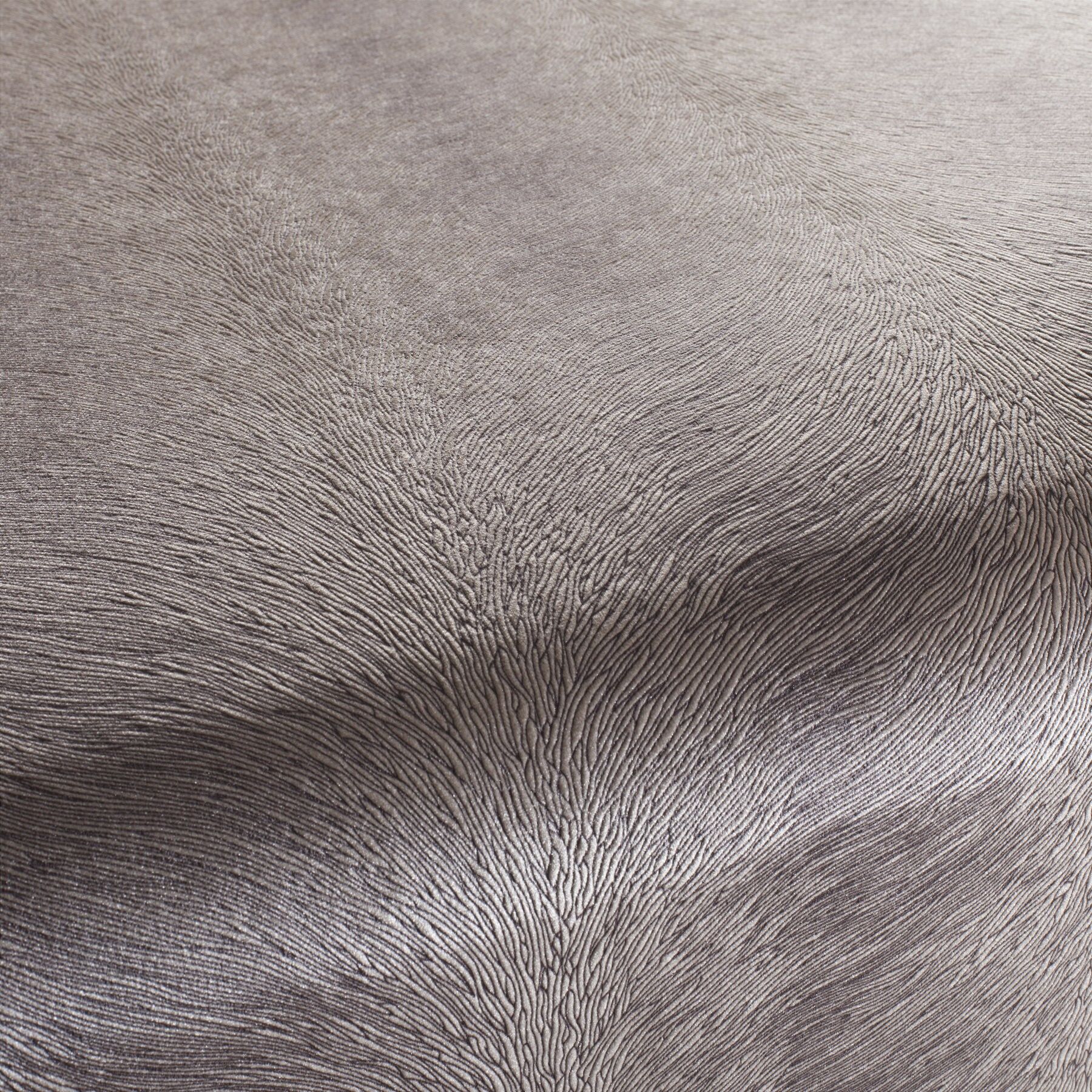 Ca1292 025 Pistoia Velvet Exklusive Italienische Samt Moebelstoffe Stoffe Braun Beige