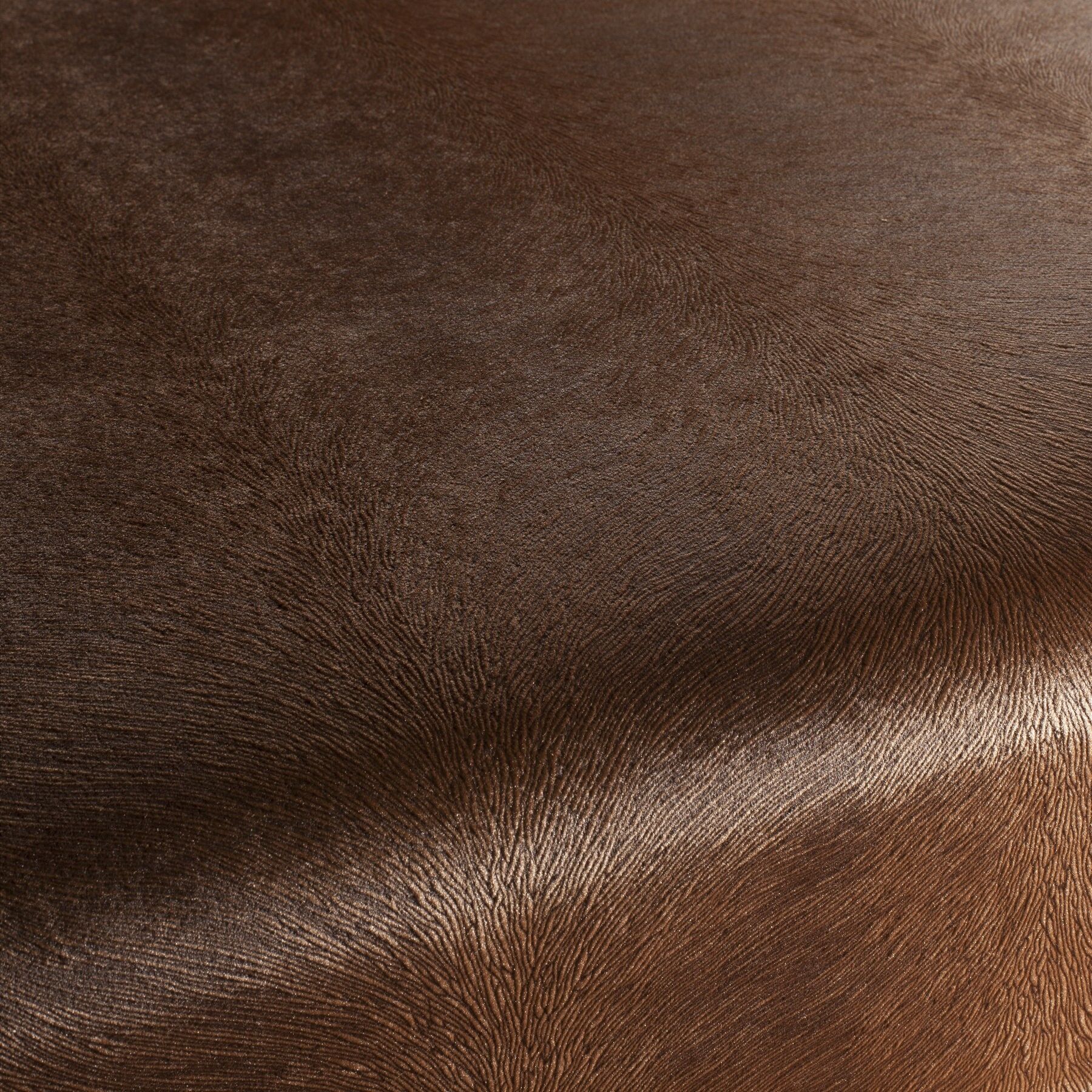 Ca1292 027 Pistoia Velvet Exklusive Italienische Samt Moebelstoffe Stoffe Braun Ca1292 027 Pistoia Velvet Exklusive Italienische Samt Moebelstoffe Stoffe Braun
