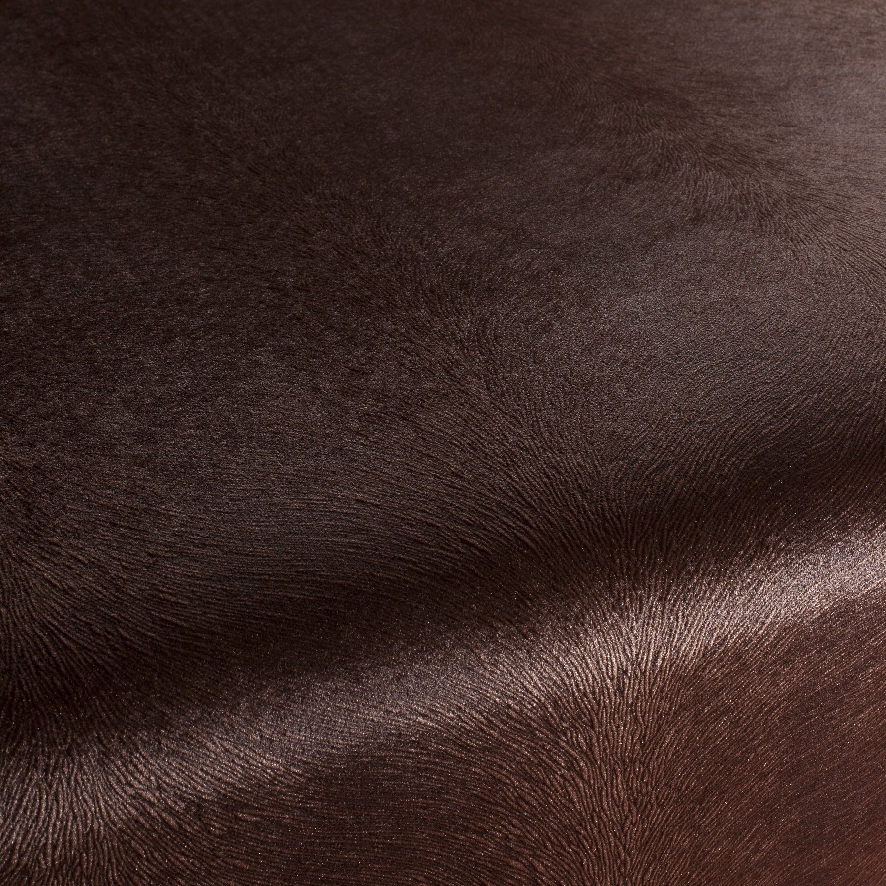 Ca1292 028 Pistoia Velvet Exklusive Italienische Samt Moebelstoffe Stoffe Braun Ca1292 028 Pistoia Velvet Exklusive Italienische Samt Moebelstoffe Stoffe Braun