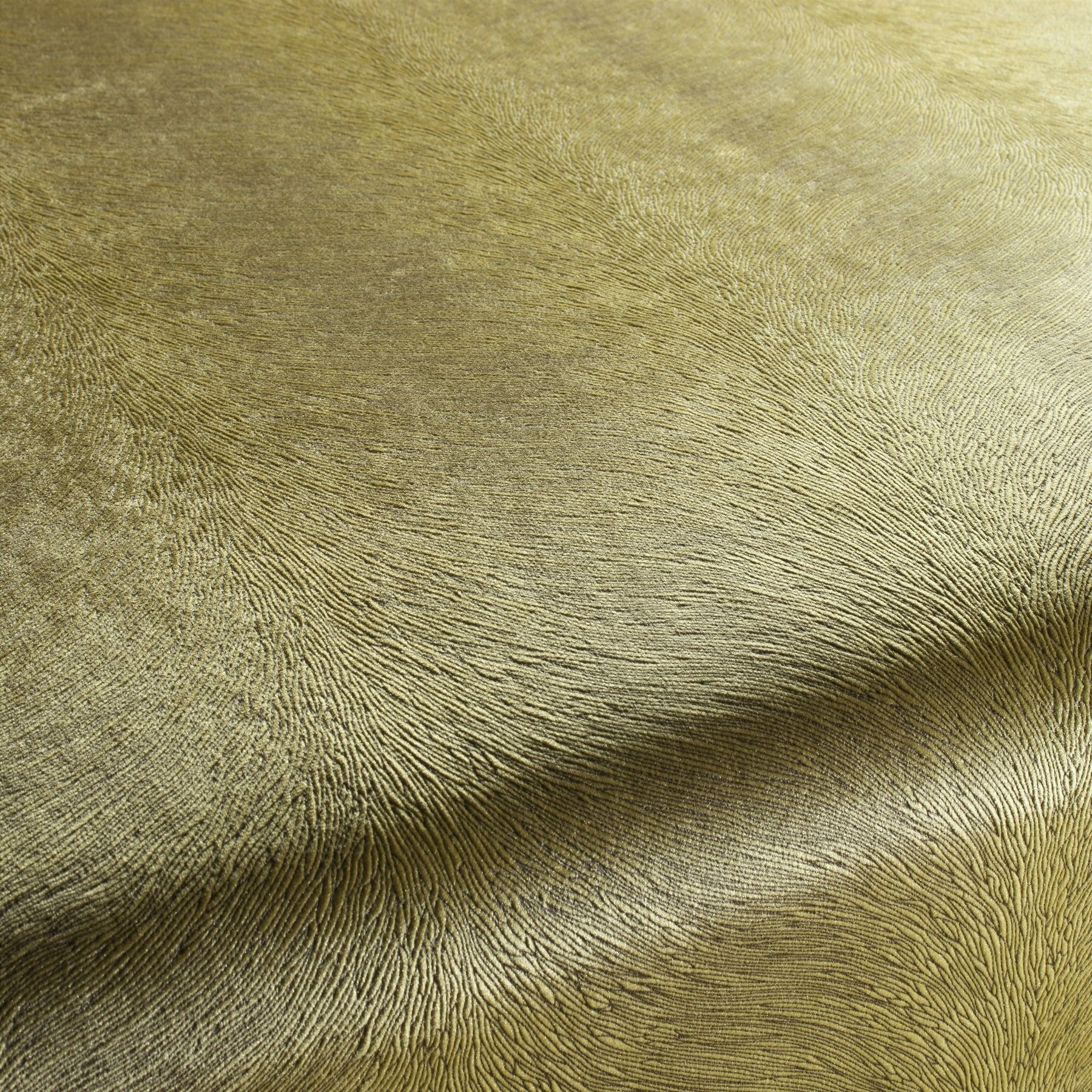 Ca1292 030 Pistoia Velvet Exklusive Italienische Samt Moebelstoffe Stoffe Gruen Ca1292 030 Pistoia Velvet Exklusive Italienische Samt Moebelstoffe Stoffe Gruen