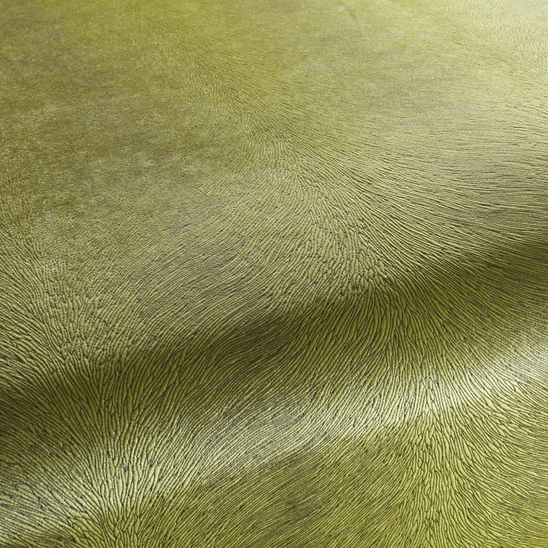 Ca1292 031 Pistoia Velvet Exklusive Italienische Samt Moebelstoffe Stoffe Gruen Braun Ca1292 031 Pistoia Velvet Exklusive Italienische Samt Moebelstoffe Stoffe Gruen Braun