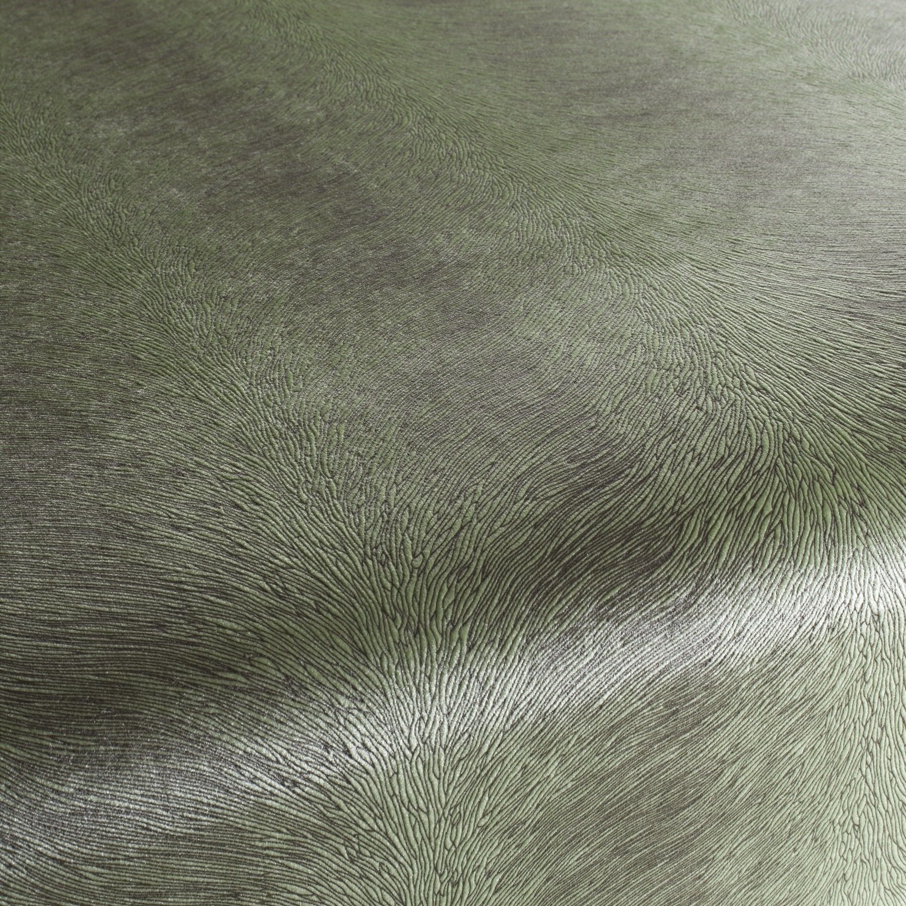 Ca1292 032 Pistoia Velvet Exklusive Italienische Samt Moebelstoffe Stoffe Gruen Ca1292 032 Pistoia Velvet Exklusive Italienische Samt Moebelstoffe Stoffe Gruen