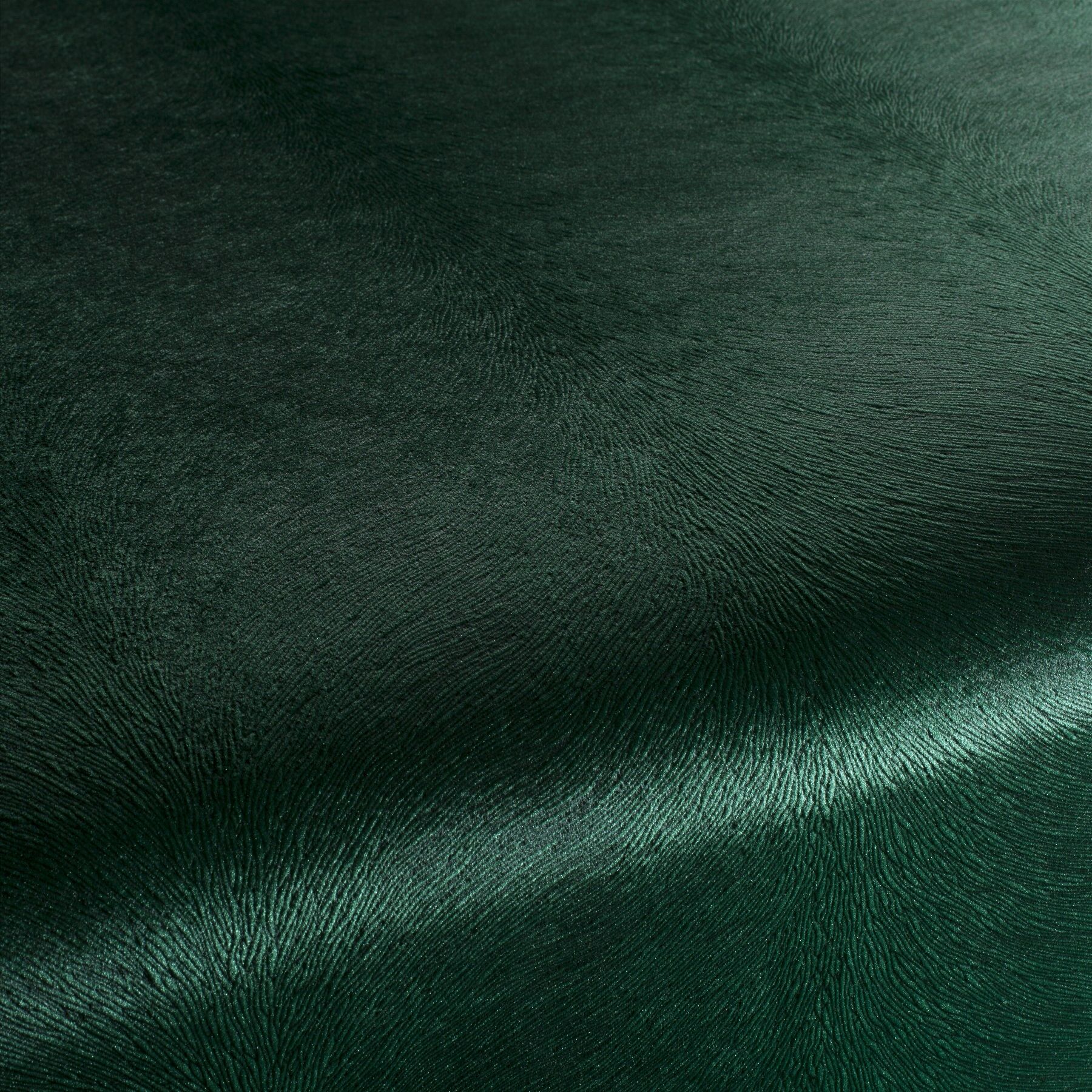 Ca1292 036 Pistoia Velvet Exklusive Italienische Samt Moebelstoffe Stoffe Gruen Ca1292 036 Pistoia Velvet Exklusive Italienische Samt Moebelstoffe Stoffe Gruen