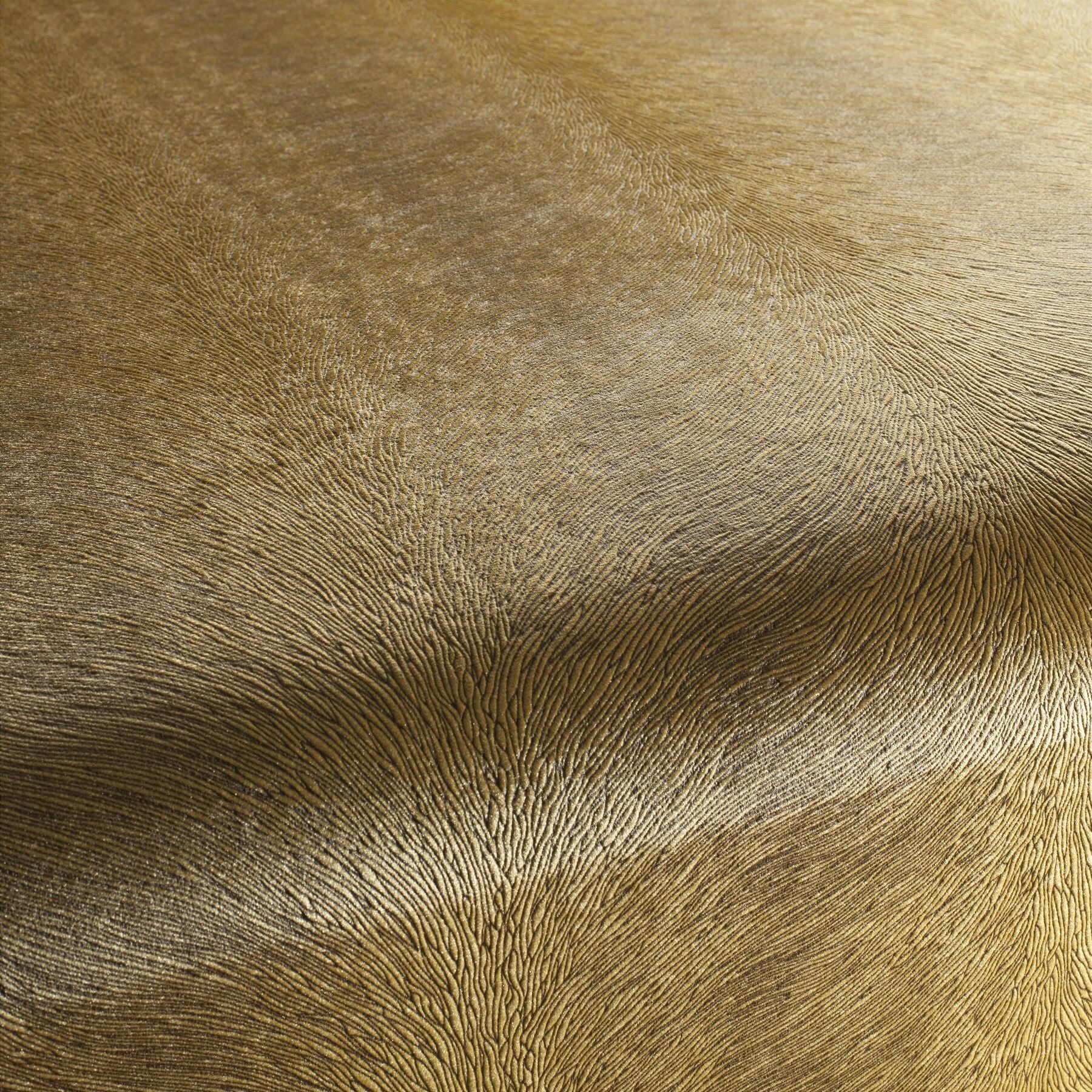 Ca1292 040 Pistoia Velvet Exklusive Italienische Samt Moebelstoffe Stoffe Gelb Ca1292 040 Pistoia Velvet Exklusive Italienische Samt Moebelstoffe Stoffe Gelb