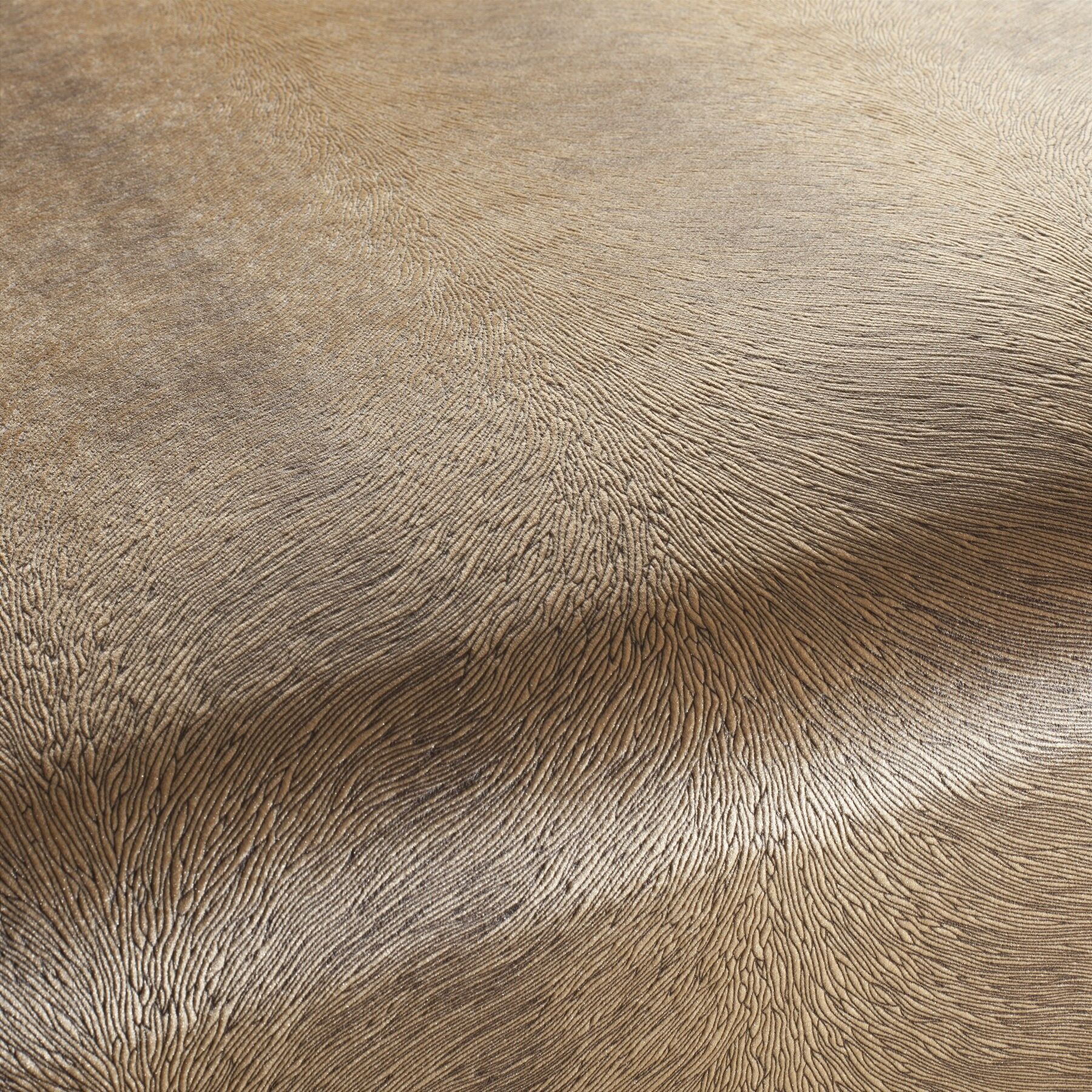 Ca1292 063 Pistoia Velvet Exklusive Italienische Samt Moebelstoffe Stoffe Orange Braun