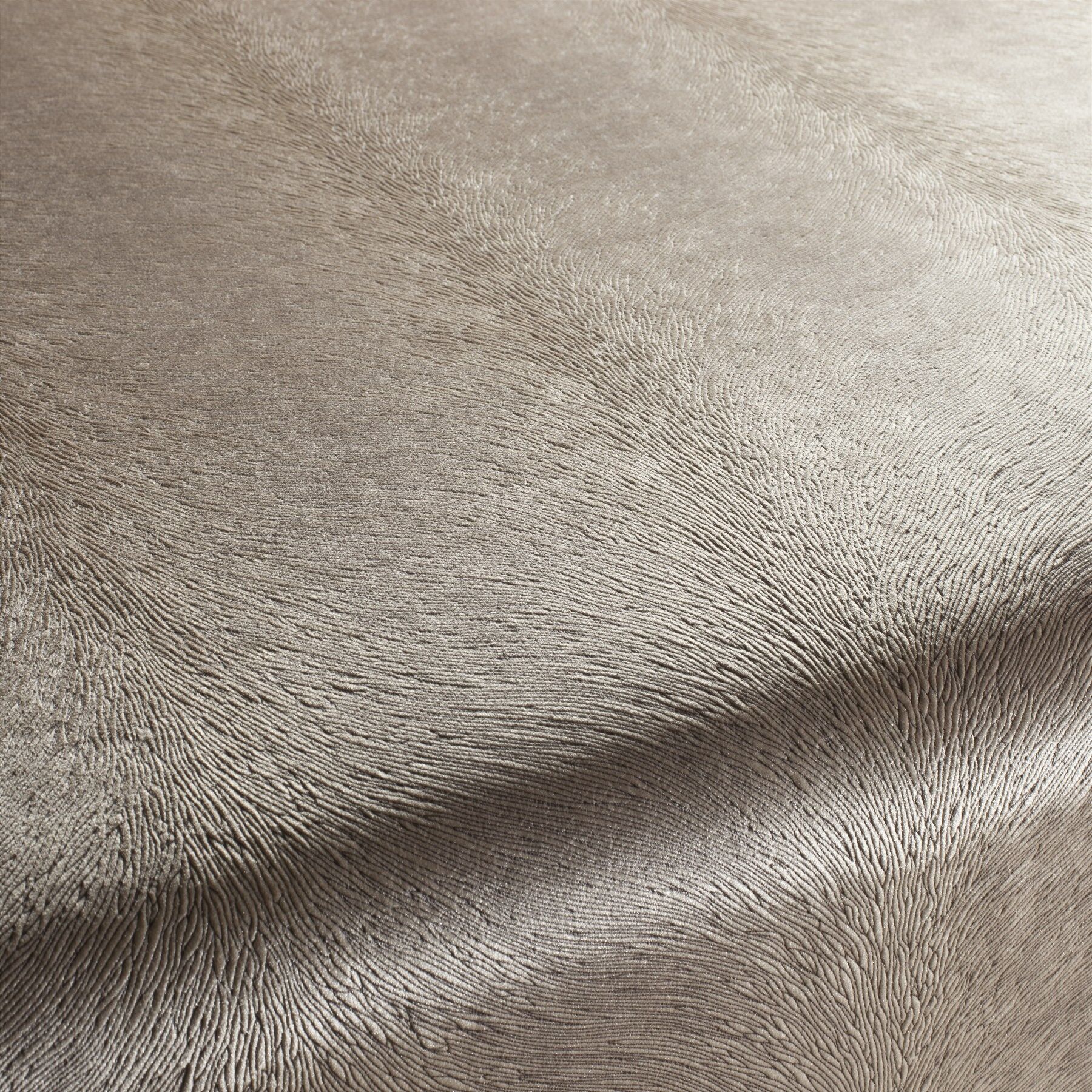 Ca1292 072 Pistoia Velvet Exklusive Italienische Samt Moebelstoffe Stoffe Beige