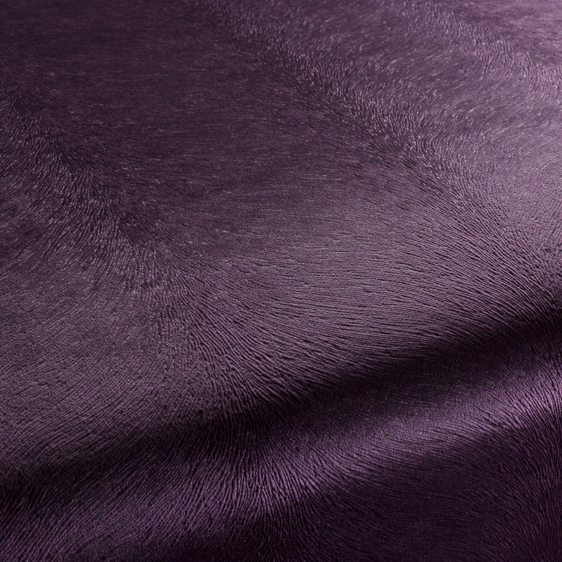 Ca1292 083 Pistoia Velvet Exklusive Italienische Samt Moebelstoffe Stoffe Lila