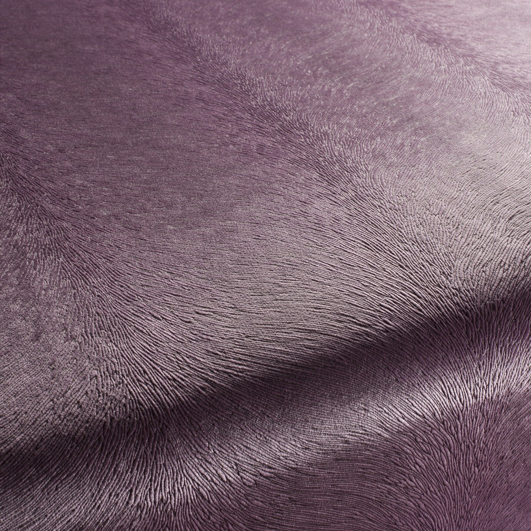 Ca1292 085 Pistoia Velvet Exklusive Italienische Samt Moebelstoffe Stoffe Lila Ca1292 085 Pistoia Velvet Exklusive Italienische Samt Moebelstoffe Stoffe Lila