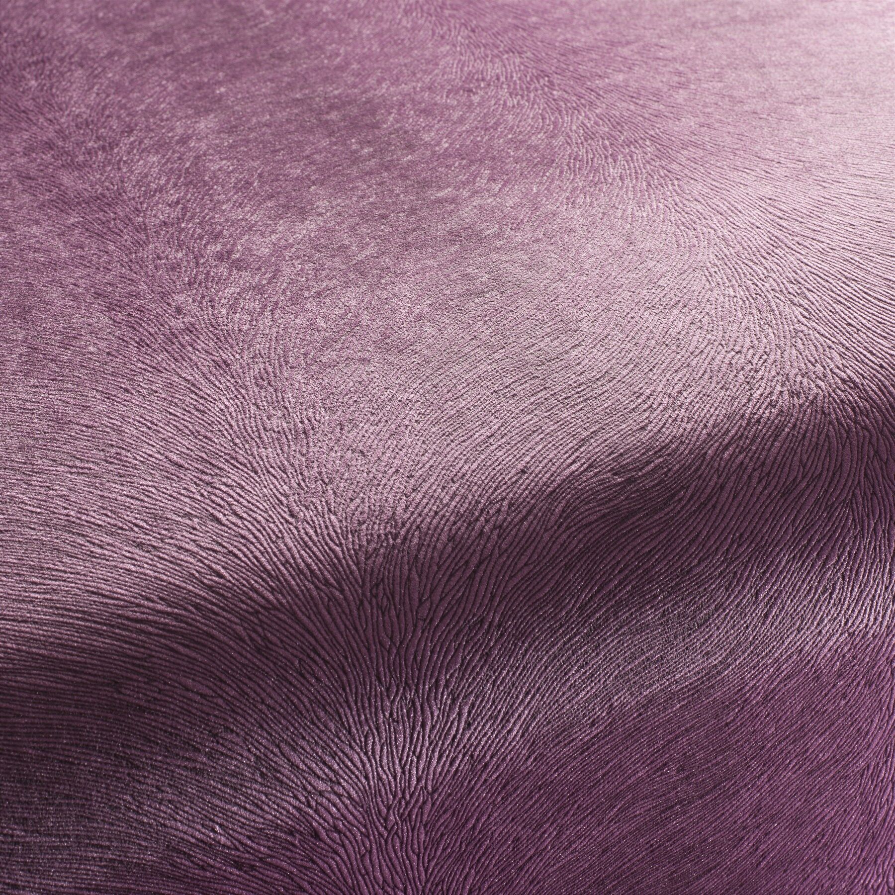 Ca1292 086 Pistoia Velvet Exklusive Italienische Samt Moebelstoffe Stoffe Lila