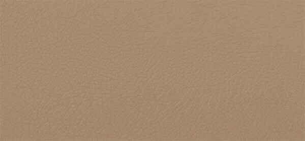 218x1630 Master Plus Kunstleder Meterware Beige