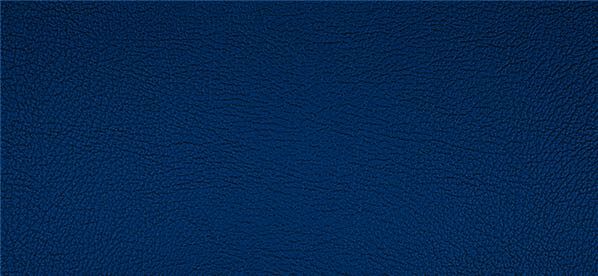 218x1636 Master Plus Kunstleder Meterware Blau