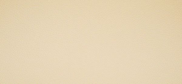 218x1712 Master Plus Kunstleder Meterware Beige
